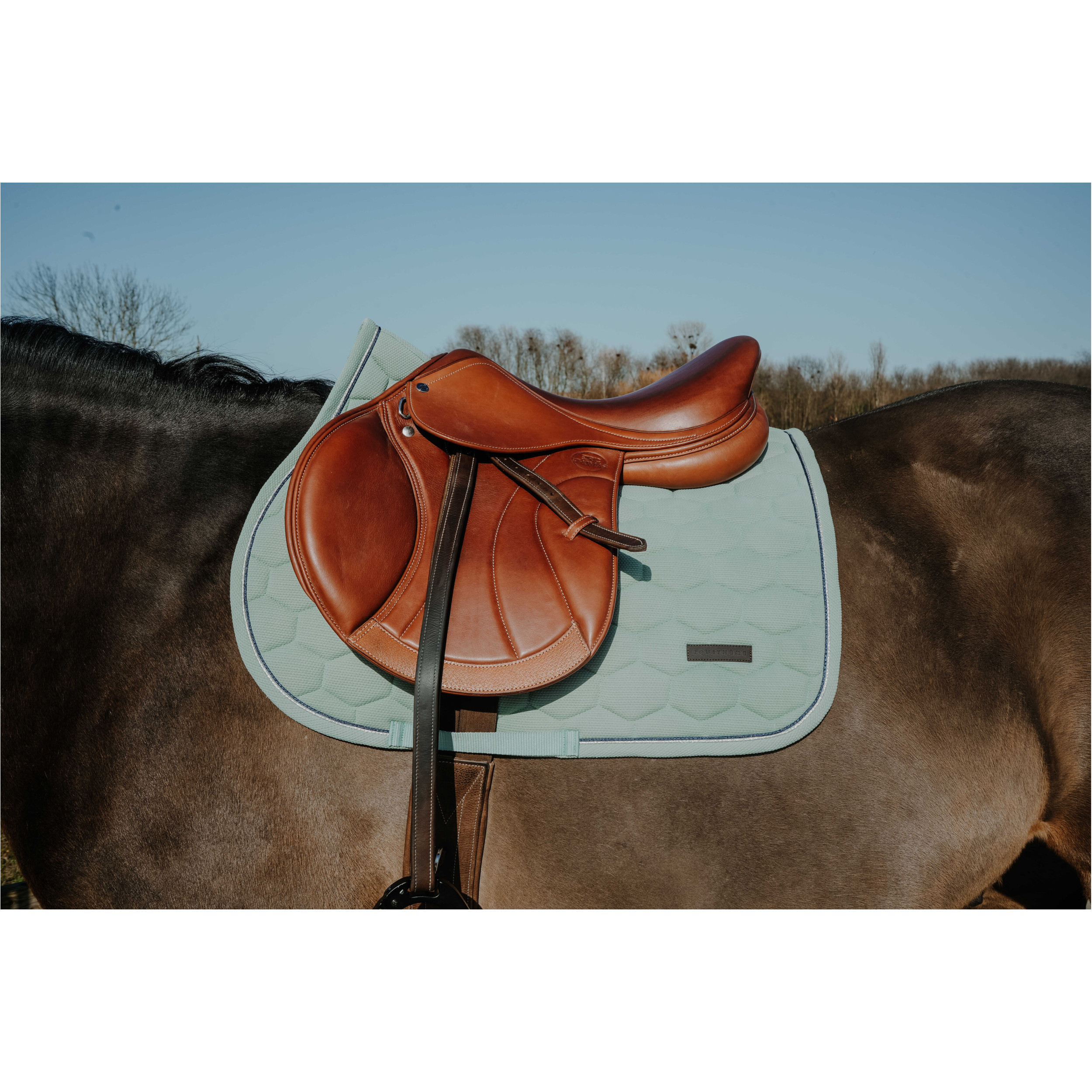 Schabracke HONEY hellgrün Warmblut Vielseitigkeit