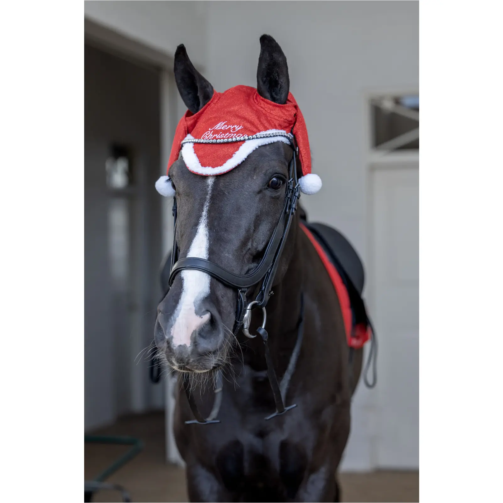 Weihnachtsmütze für das Pferd CHRISTMAS GLITTER rot Weihnachtsmütze für das Pferd CHRISTMAS GLITTER rot