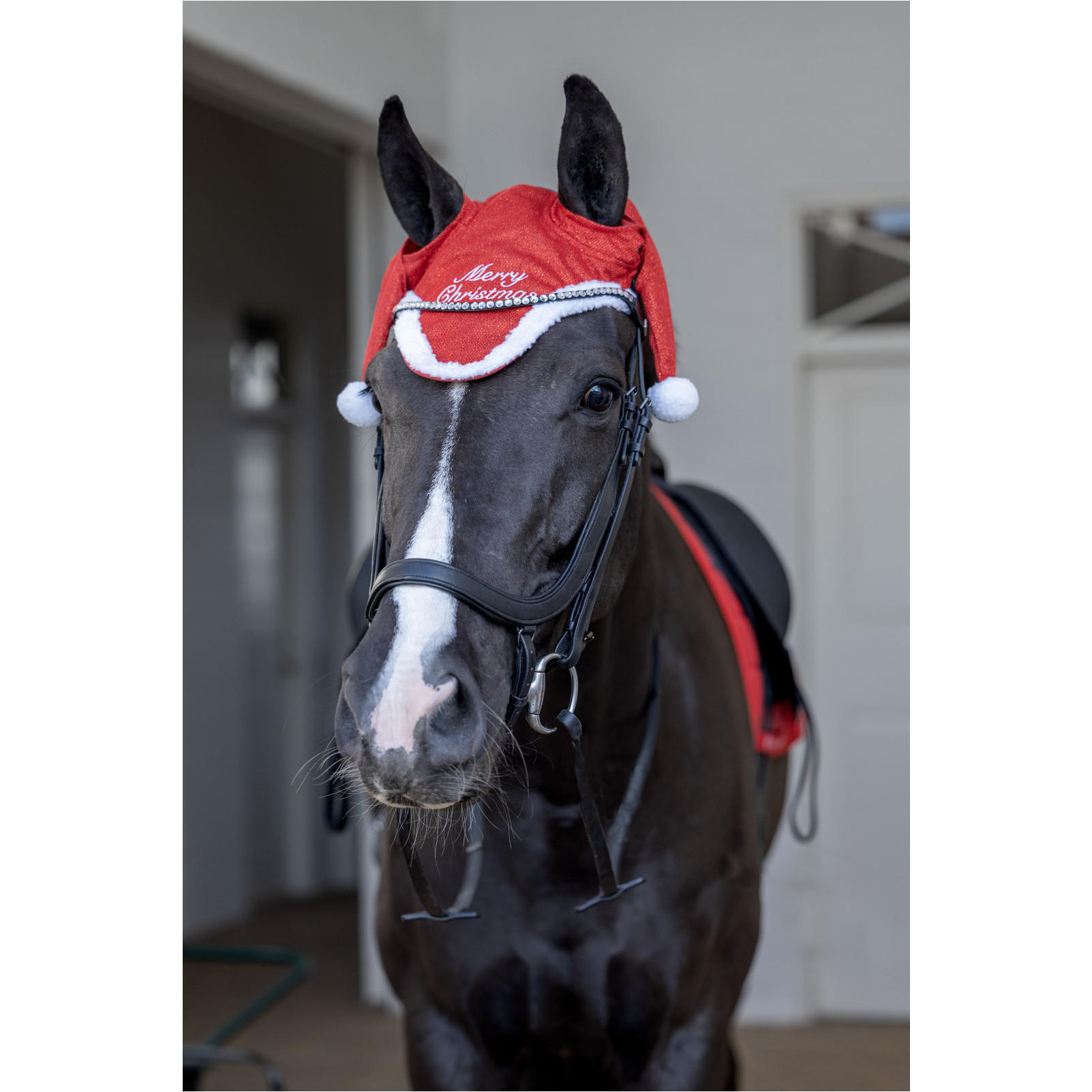 Weihnachtsmütze für das Pferd CHRISTMAS GLITTER rot