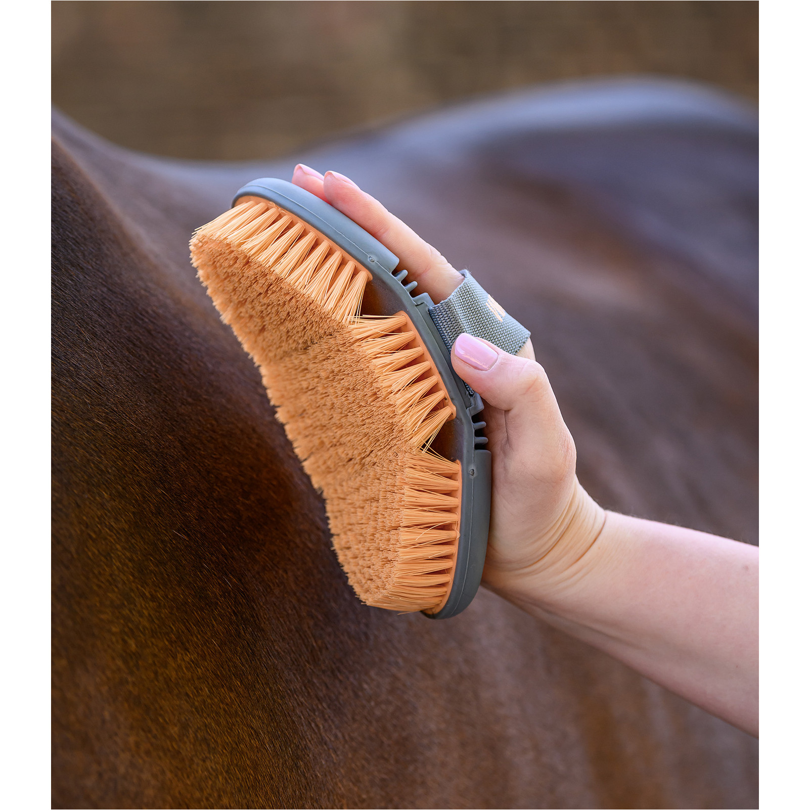 Kardätsche FLEX weiche Synthetikborsten pfirsich Kardätsche FLEX weiche Synthetikborsten pfirsich