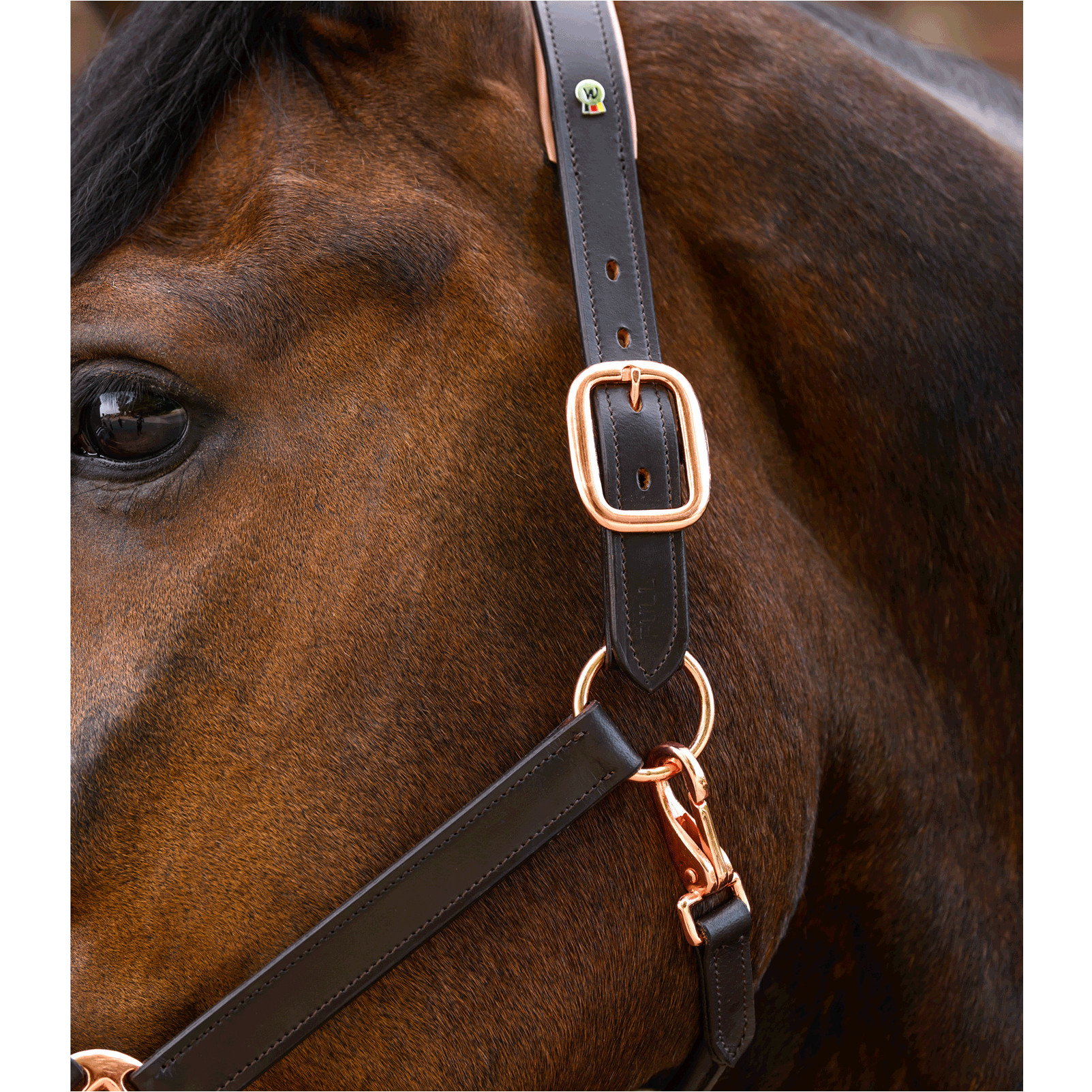 Halfter Leder X-LINE ROSÉ braun