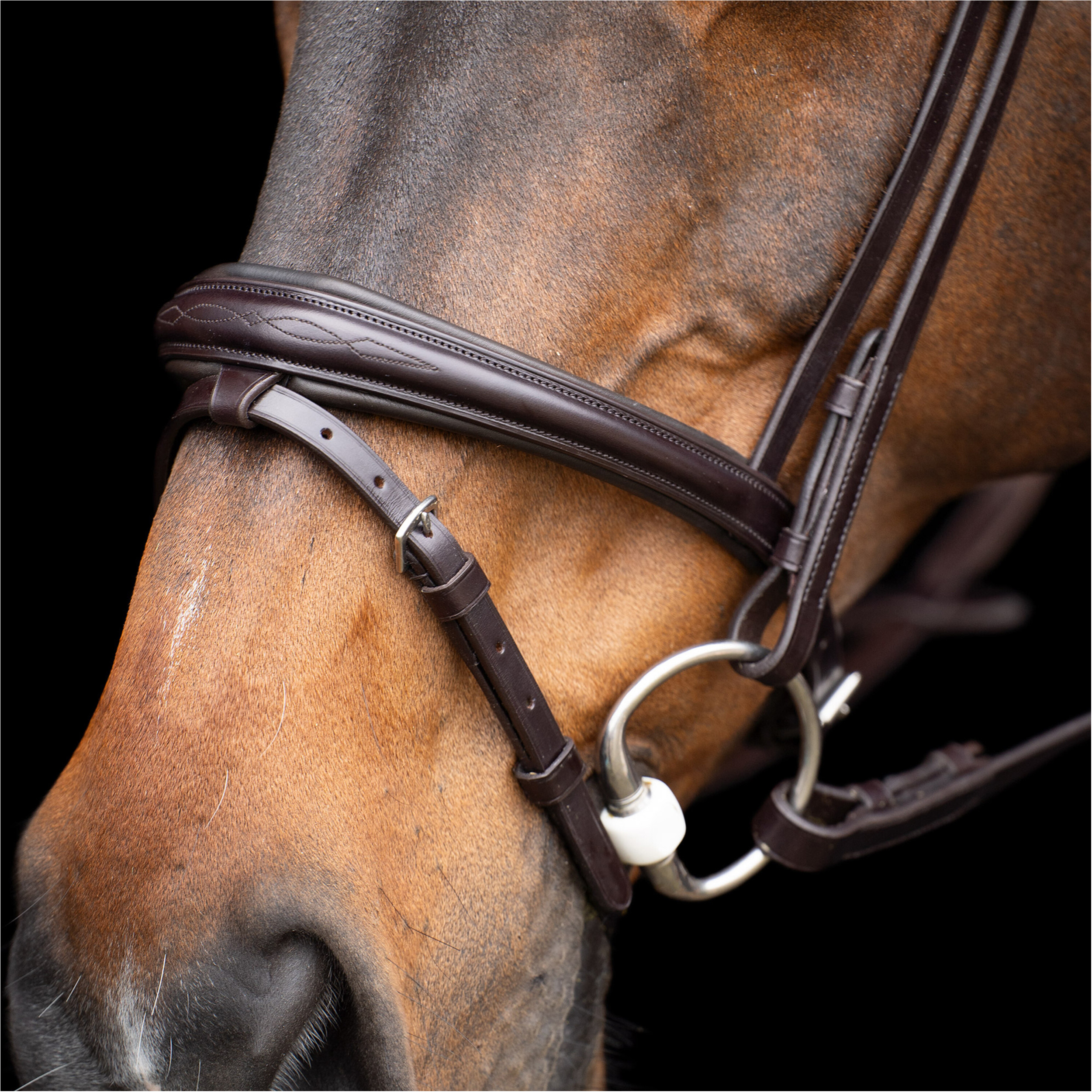 Trensenzaum HVPLegacy chocolate braun