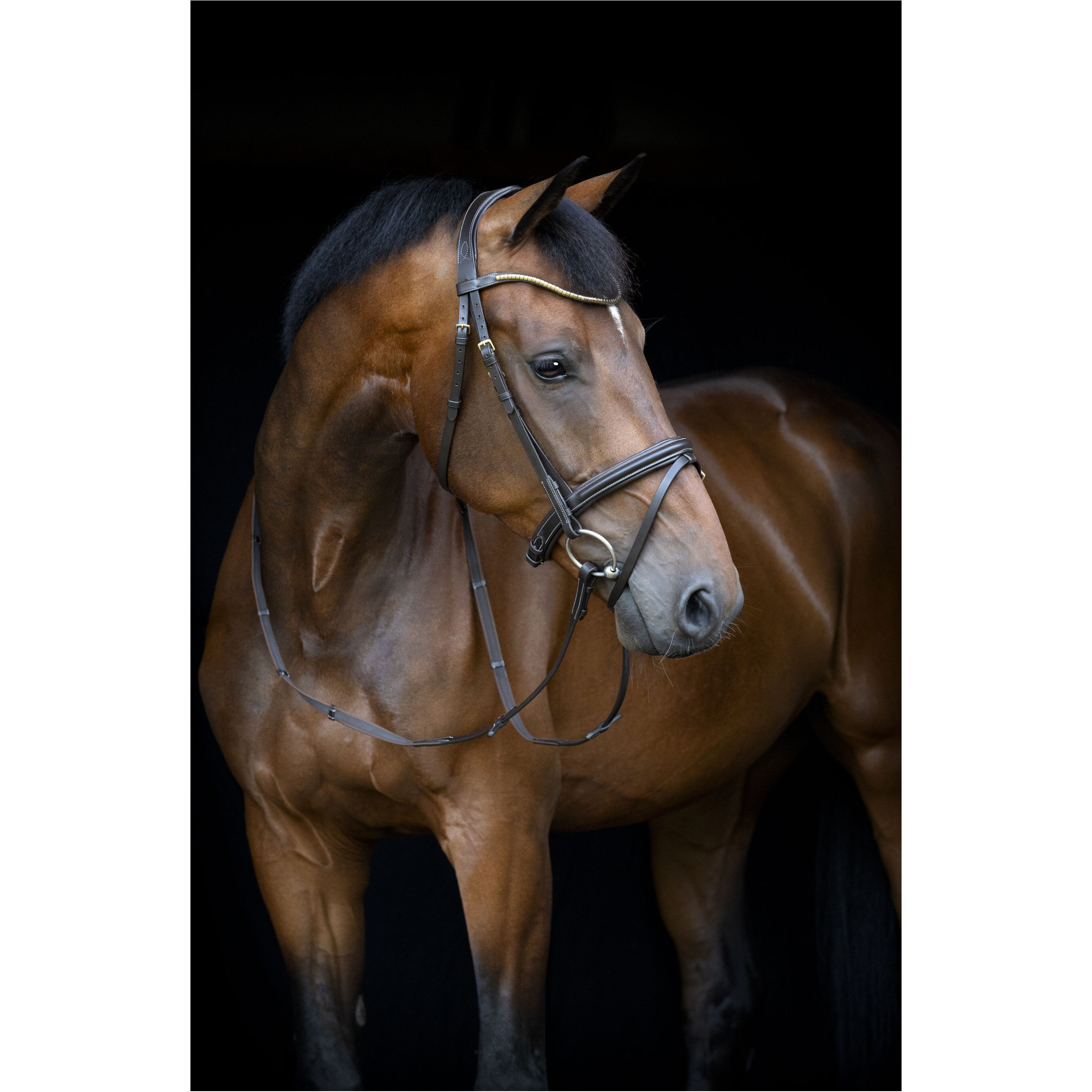 Trensenzaum englisch kombiniert EMI 26.1 braun