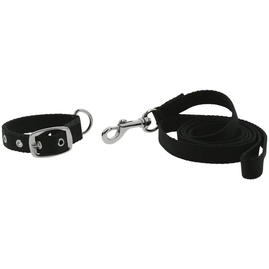Hundehalsband und Leine OSCAR schwarz