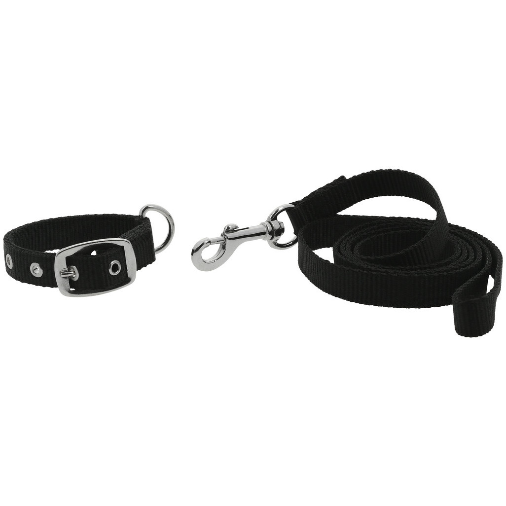 Hundehalsband und Leine OSCAR schwarz