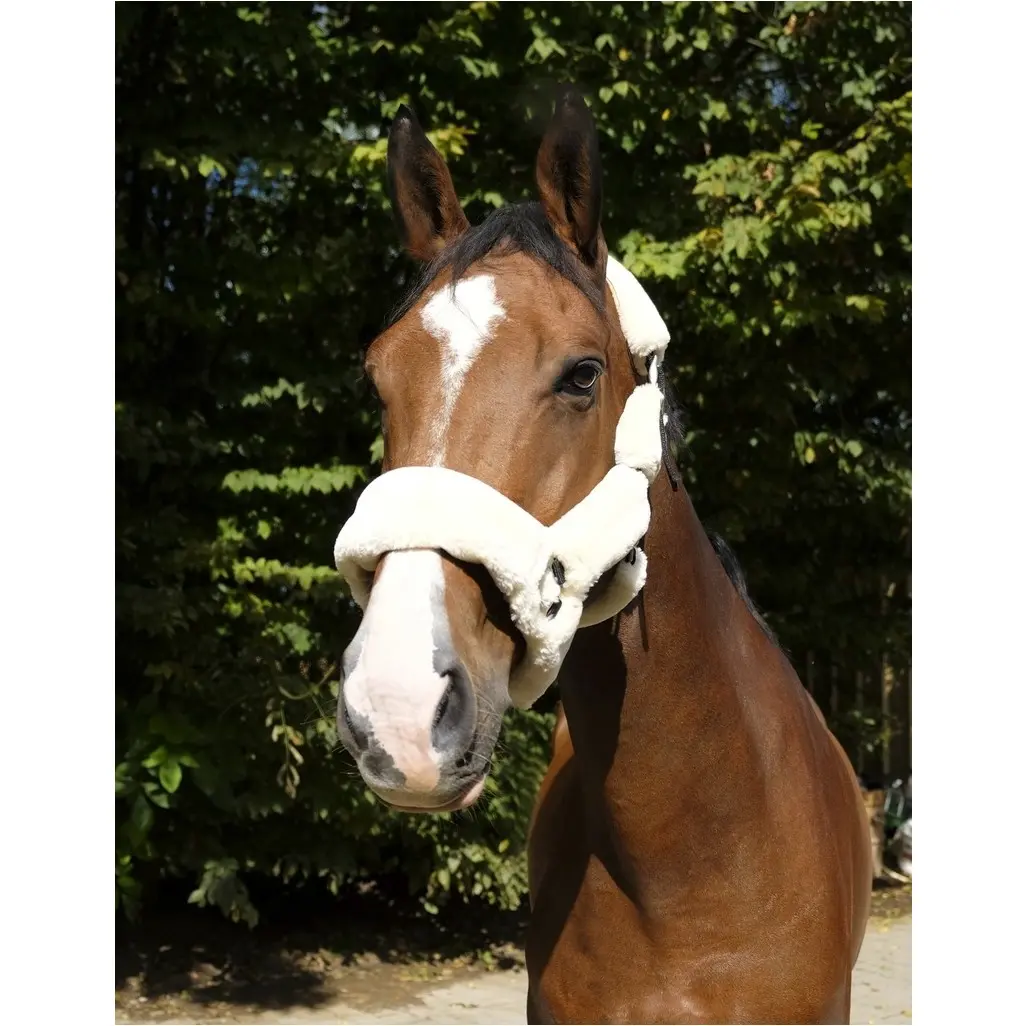 Halfter TEDDY schwarz