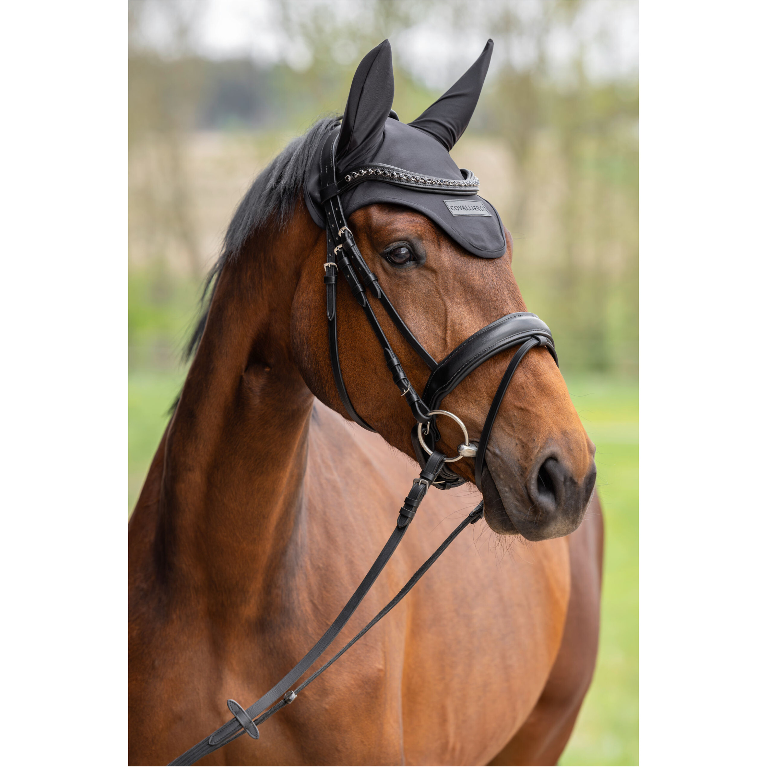 Fliegenhaube F/S 2026 black Fliegenhaube F/S 2026 black