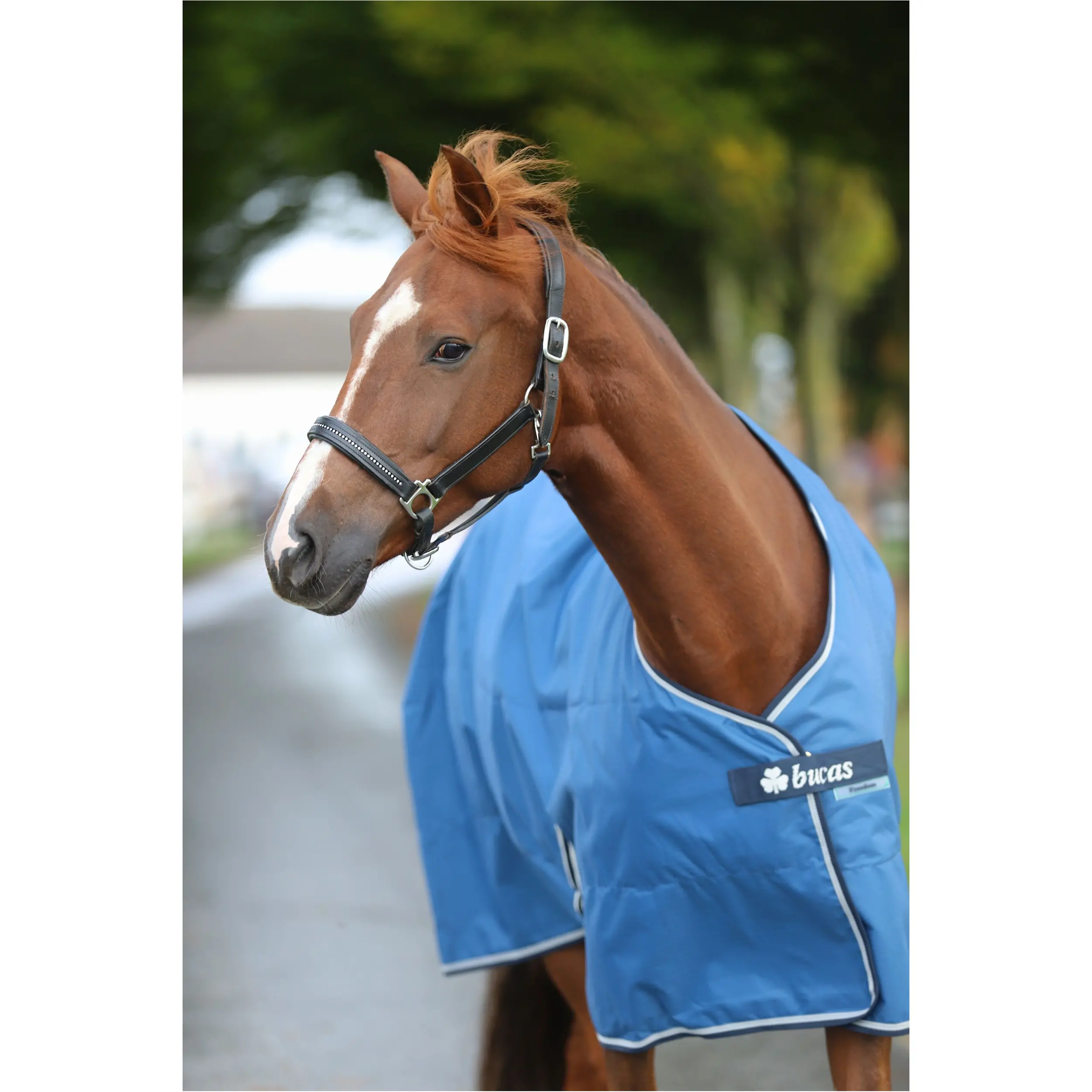 Weidedecke 600D FREEDOM TURNOUT blau/navy