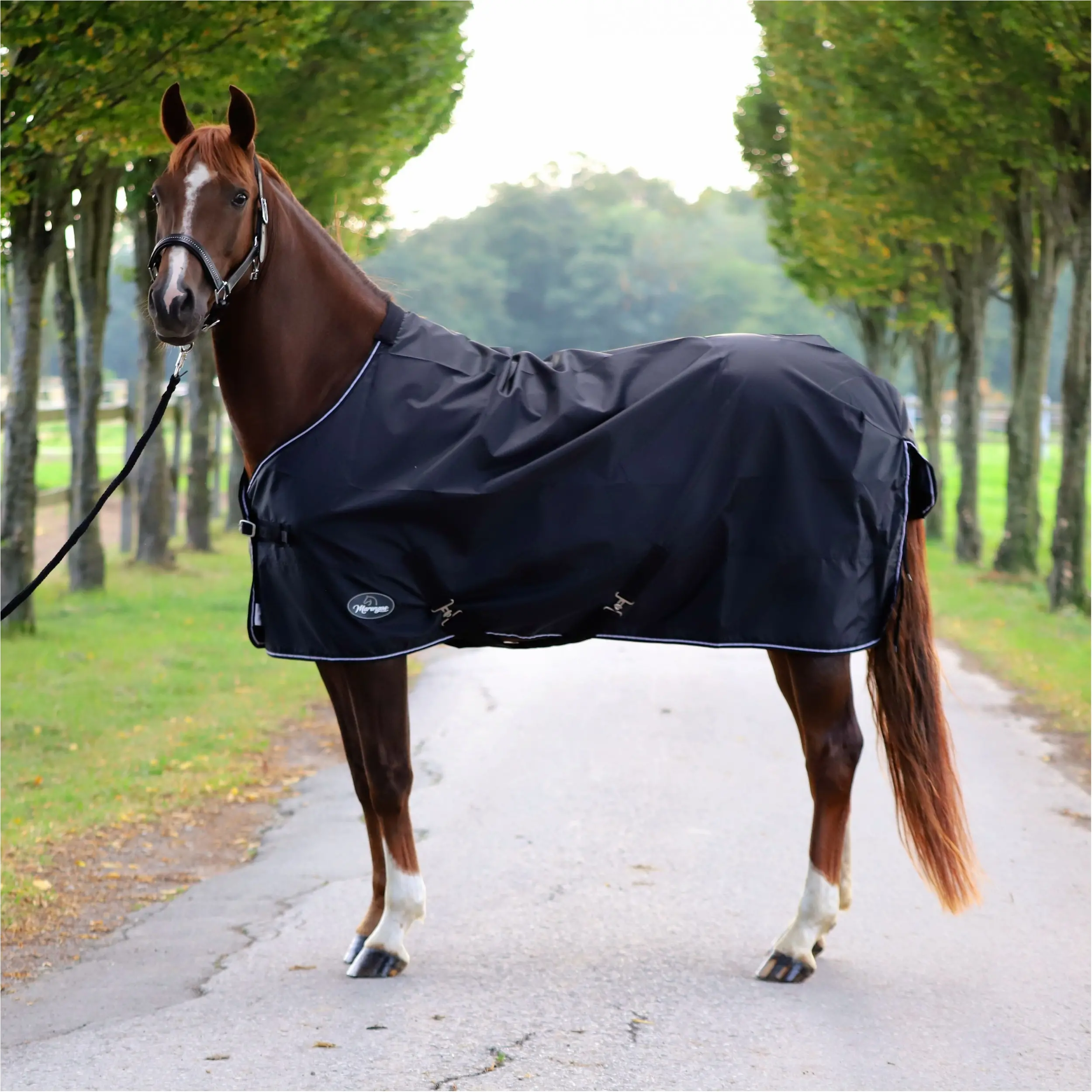 Regendecke 420D ECONOMIC schwarz Regendecke 420D ECONOMIC schwarz