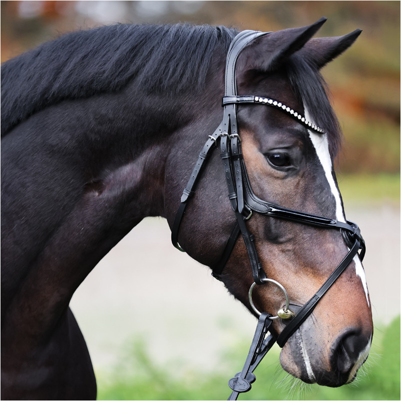 Trensenzaum mit mexikanischem Reithalfter LUCIA schwarz lack
