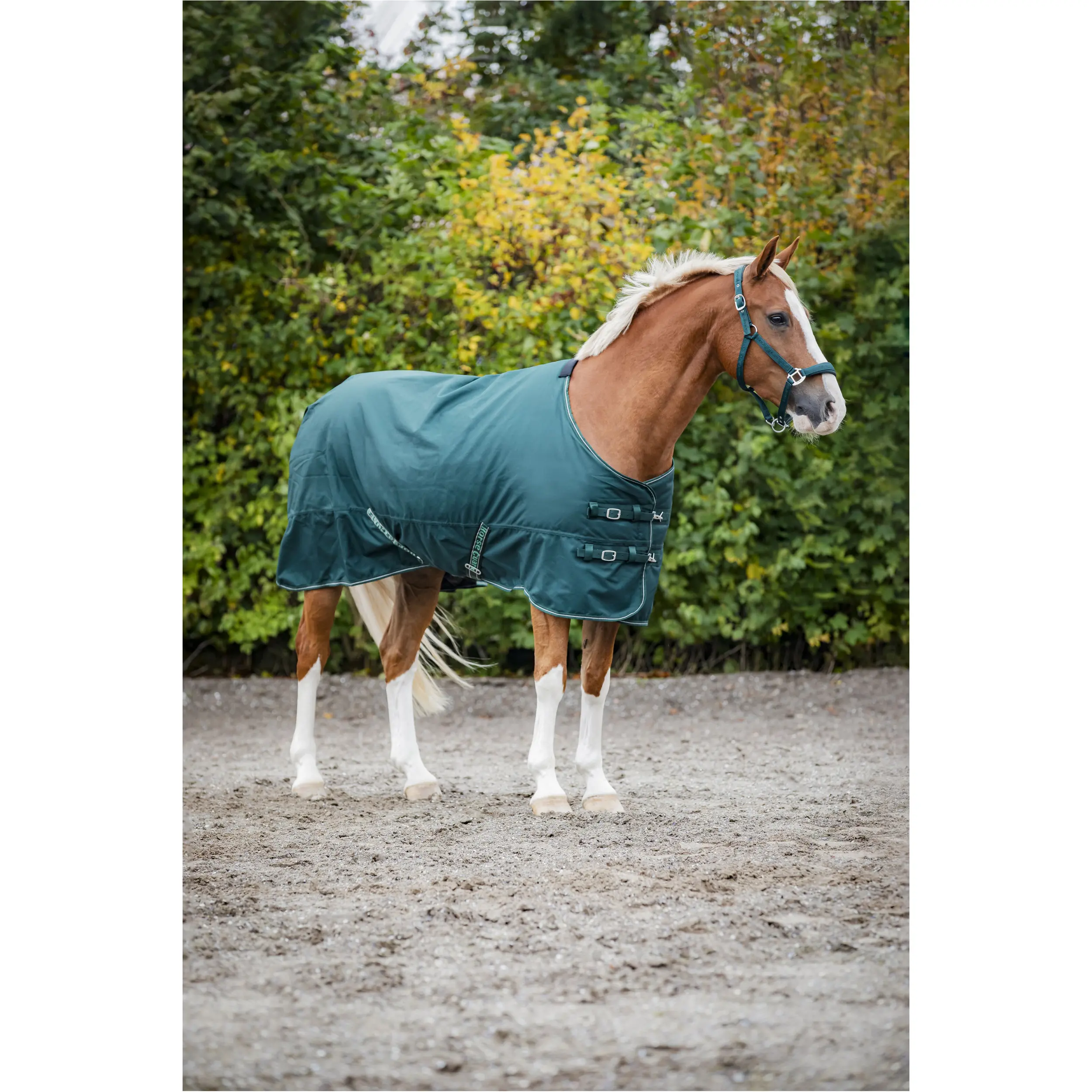 Turnoutdecke 200g Füllung 1200D LANDON ponderosa pine Turnoutdecke 200g Füllung 1200D LANDON ponderosa pine