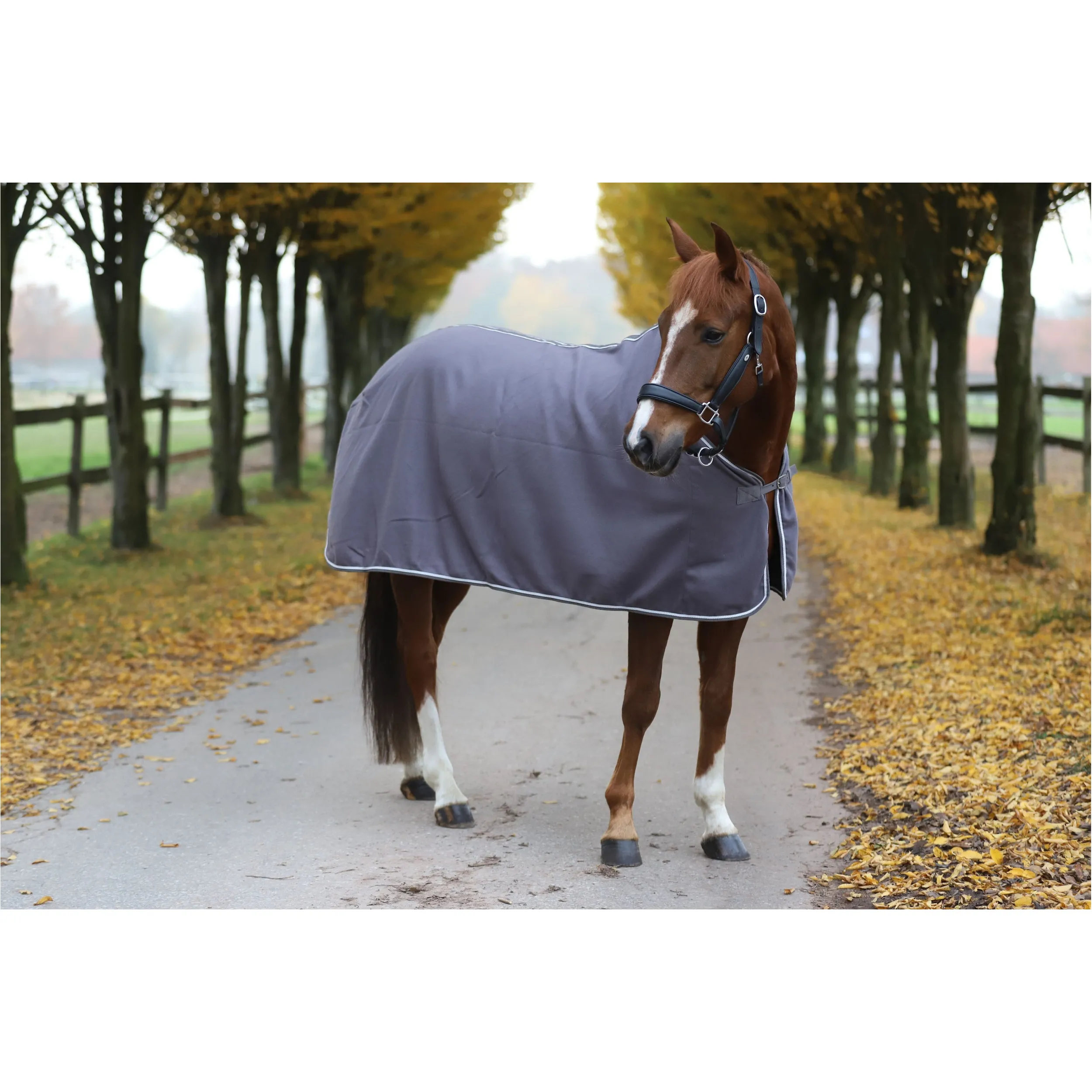 Abschwitzdecke ECONOMIC grau