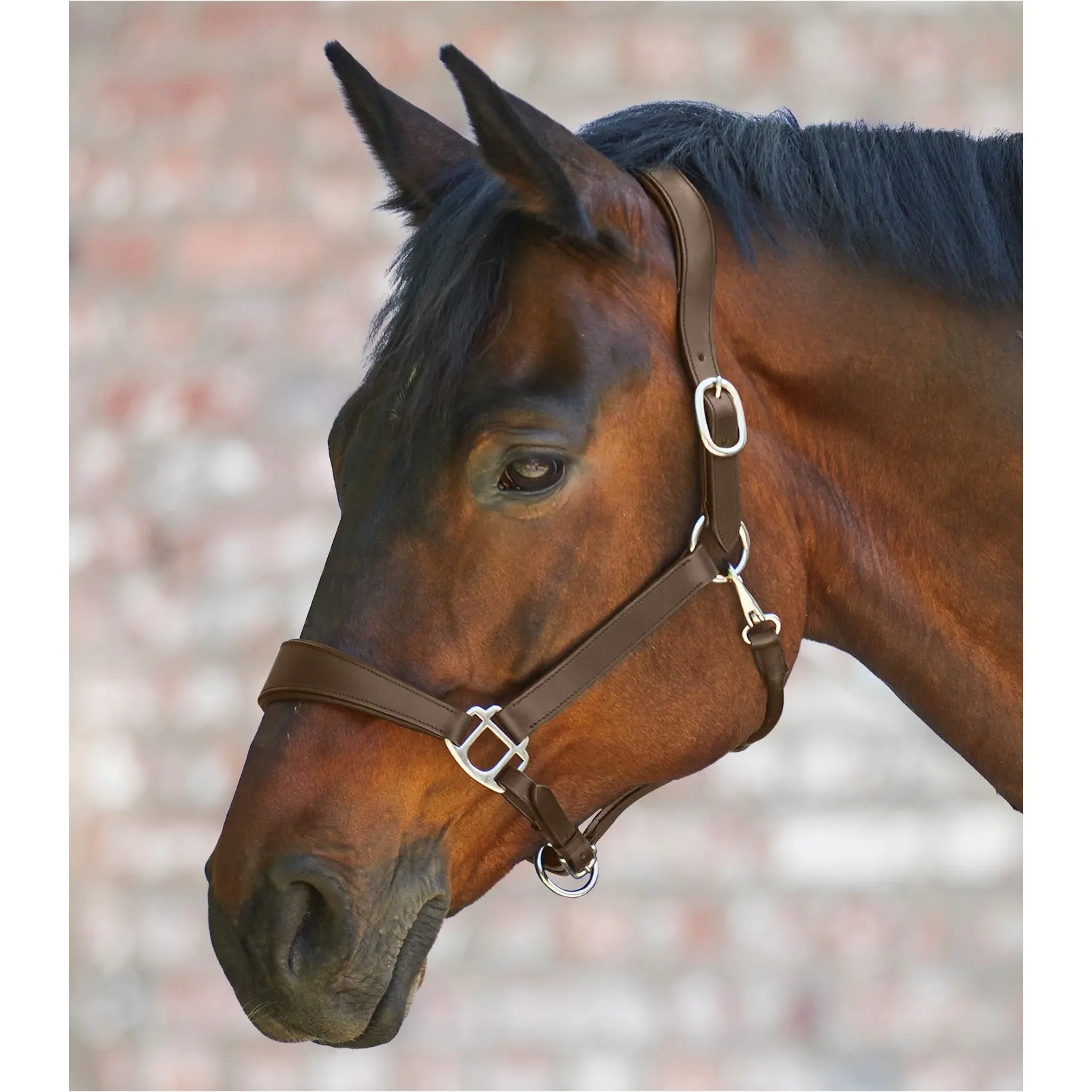 Halfter X-Line ANATOMIC Leder braun