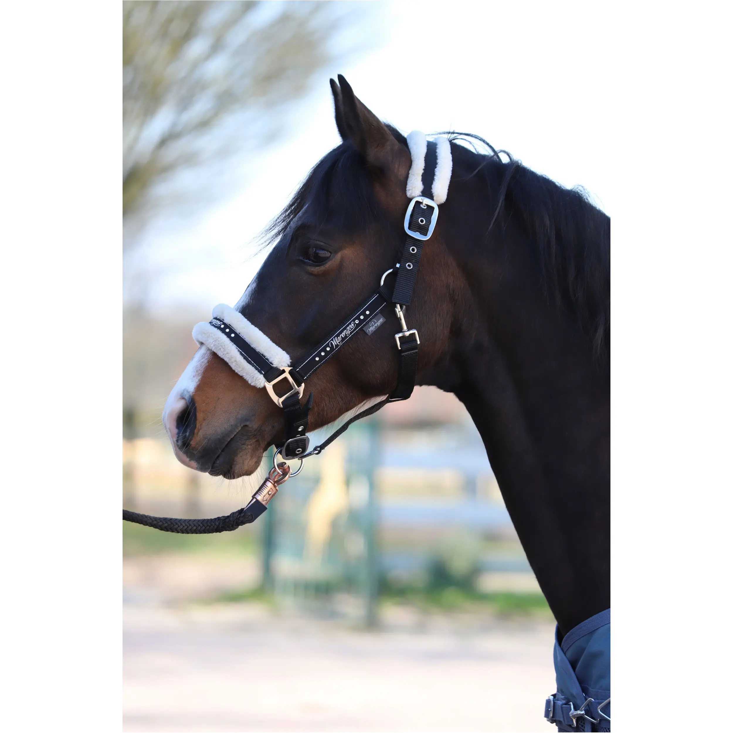 Halfter-Set mit Führstrick ELEGANT schwarz/silber Halfter-Set mit Führstrick ELEGANT schwarz/silber