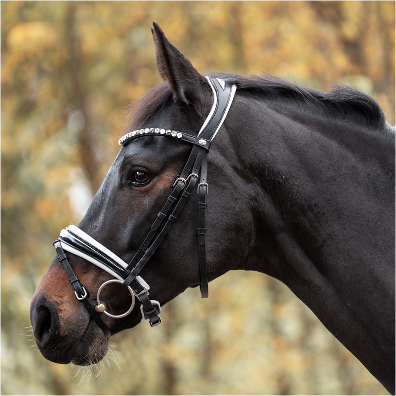 Trensenzaum schwedisch kombiniert ZORA schwarz lack/weiß Trensenzaum schwedisch kombiniert ZORA schwarz lack/weiß