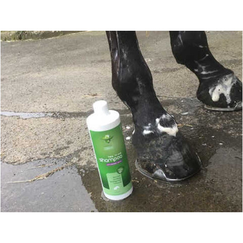 Shampoo Prävention und Pflege TEA TREE 500ml