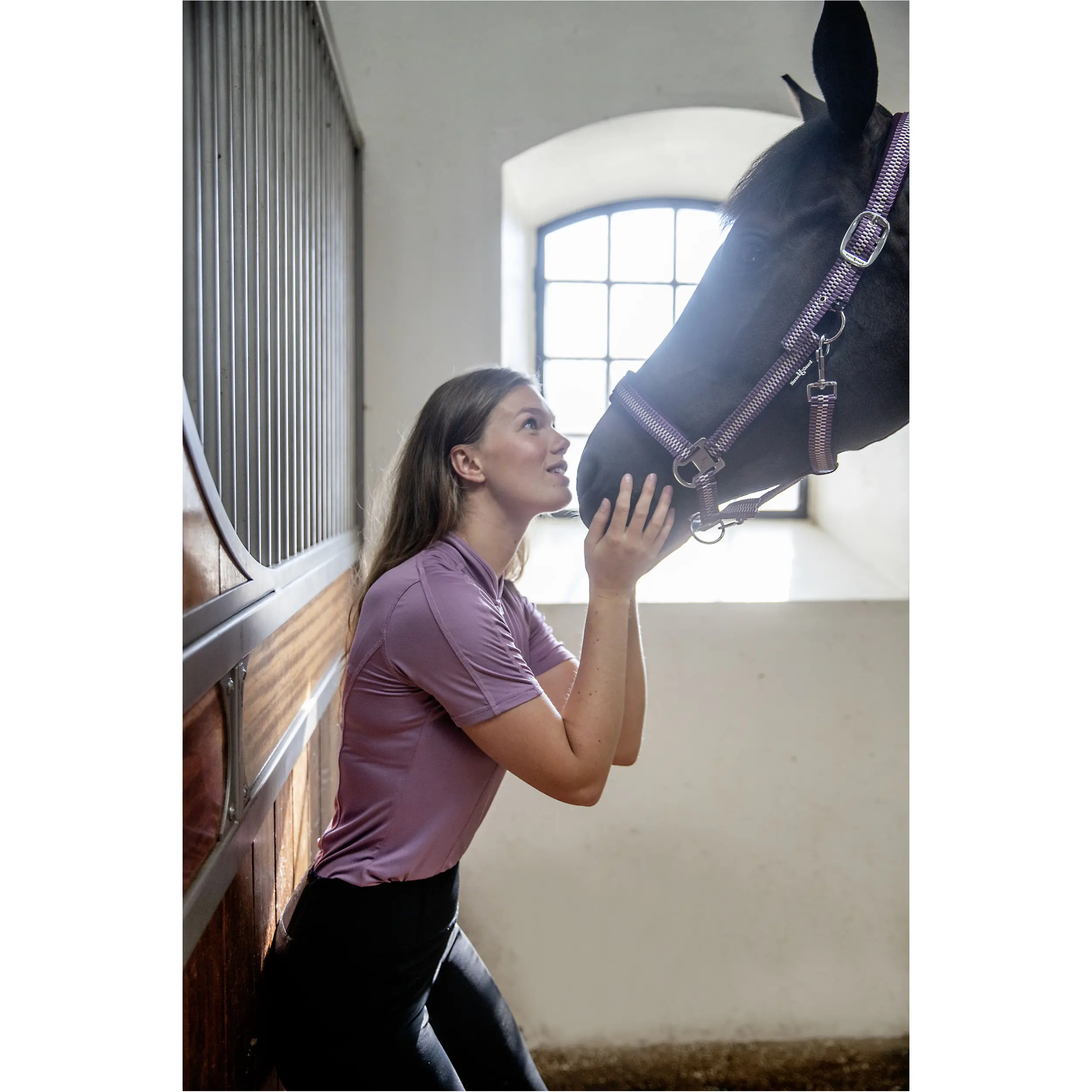 Halfter COLE italian plum