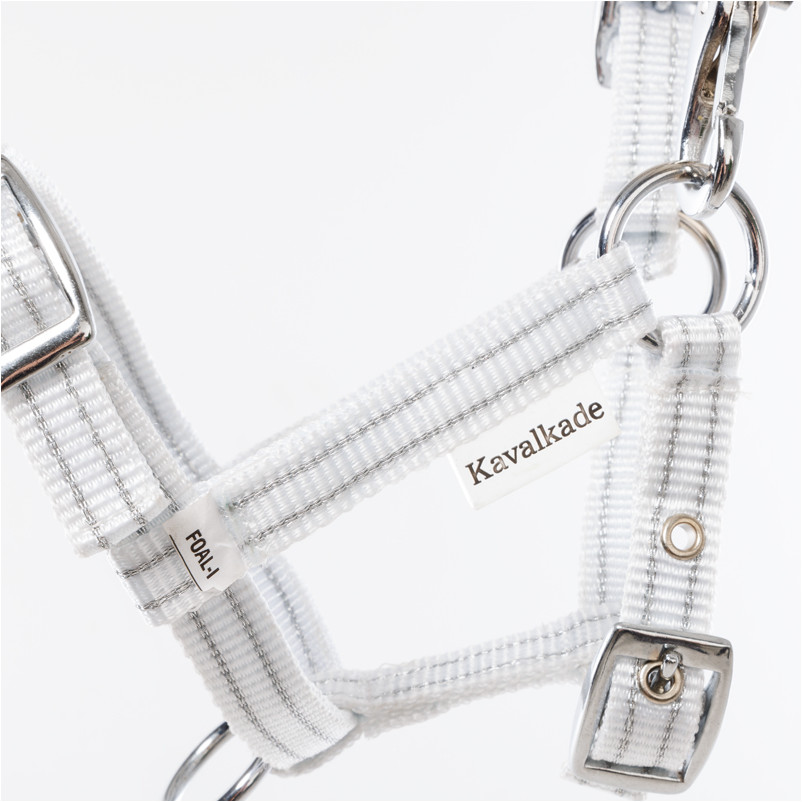 Fohlenhalfter weiß/silber Fohlenhalfter weiß/silber