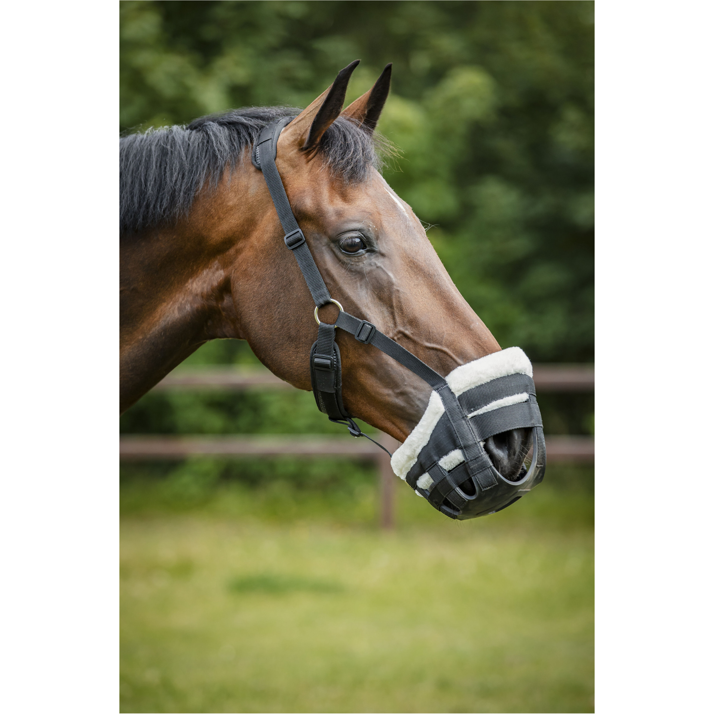 Halfer mit Fressbremse schwarz Halfer mit Fressbremse schwarz