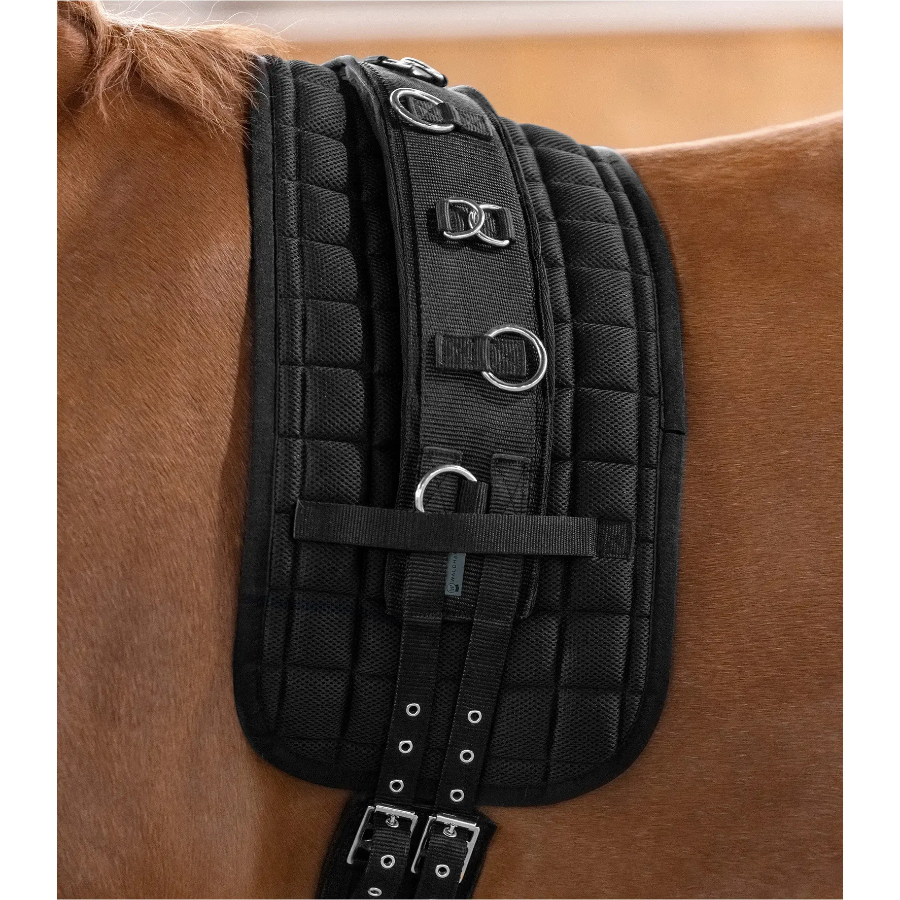 Longiergurt SUPERSOFT schwarz