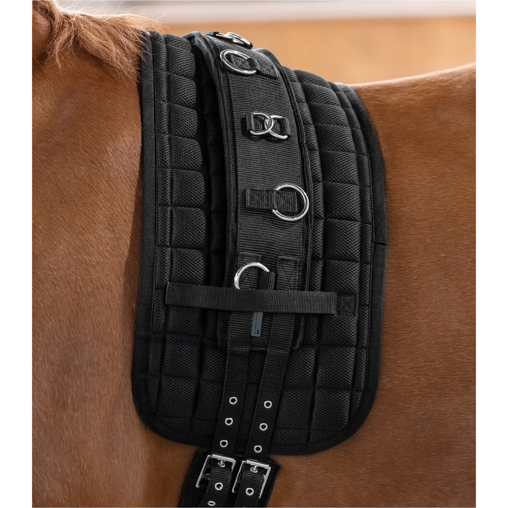 Longiergurt SUPERSOFT schwarz