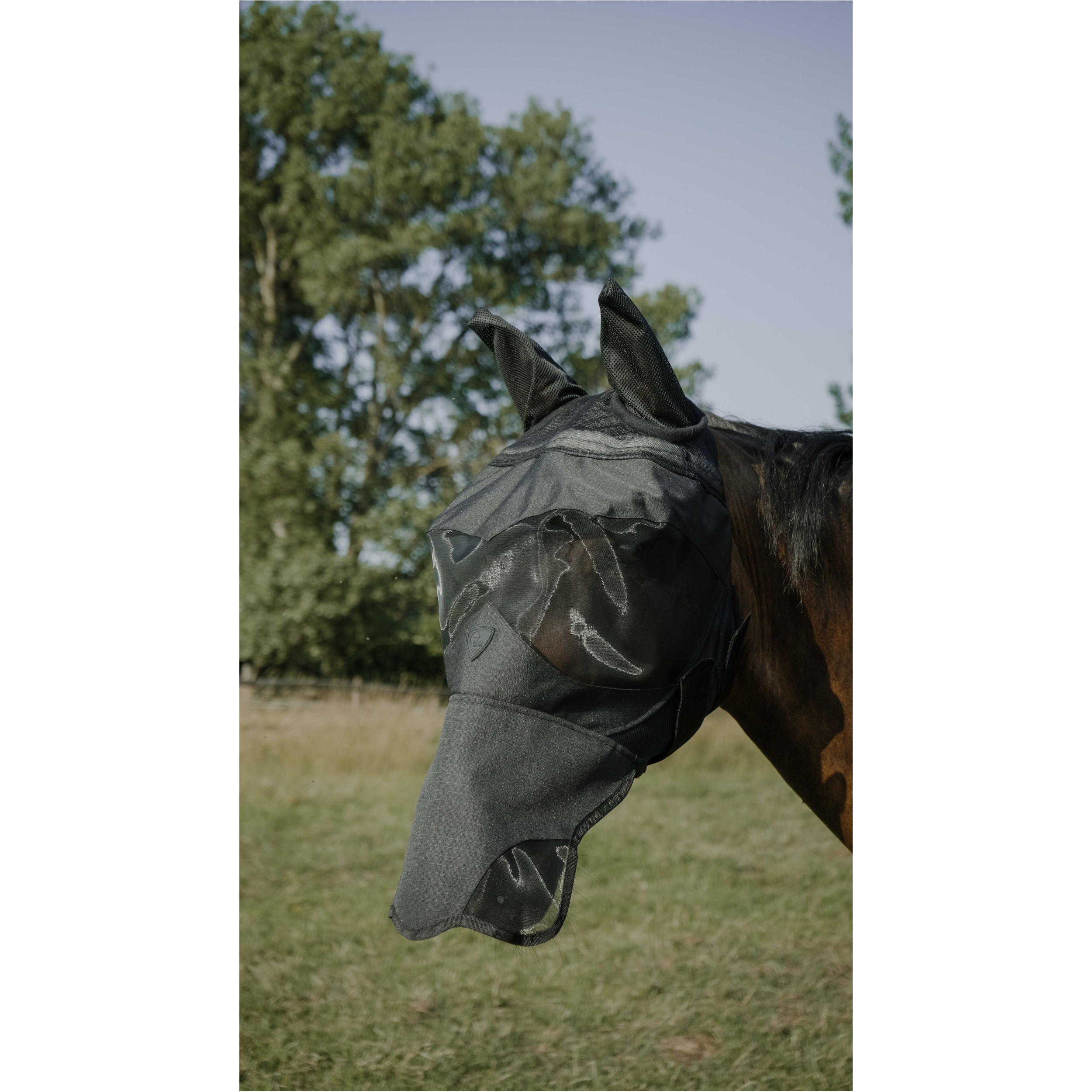 Fliegenmaske mit UV-Schutz VISOR schwarz Fliegenmaske mit UV-Schutz VISOR schwarz