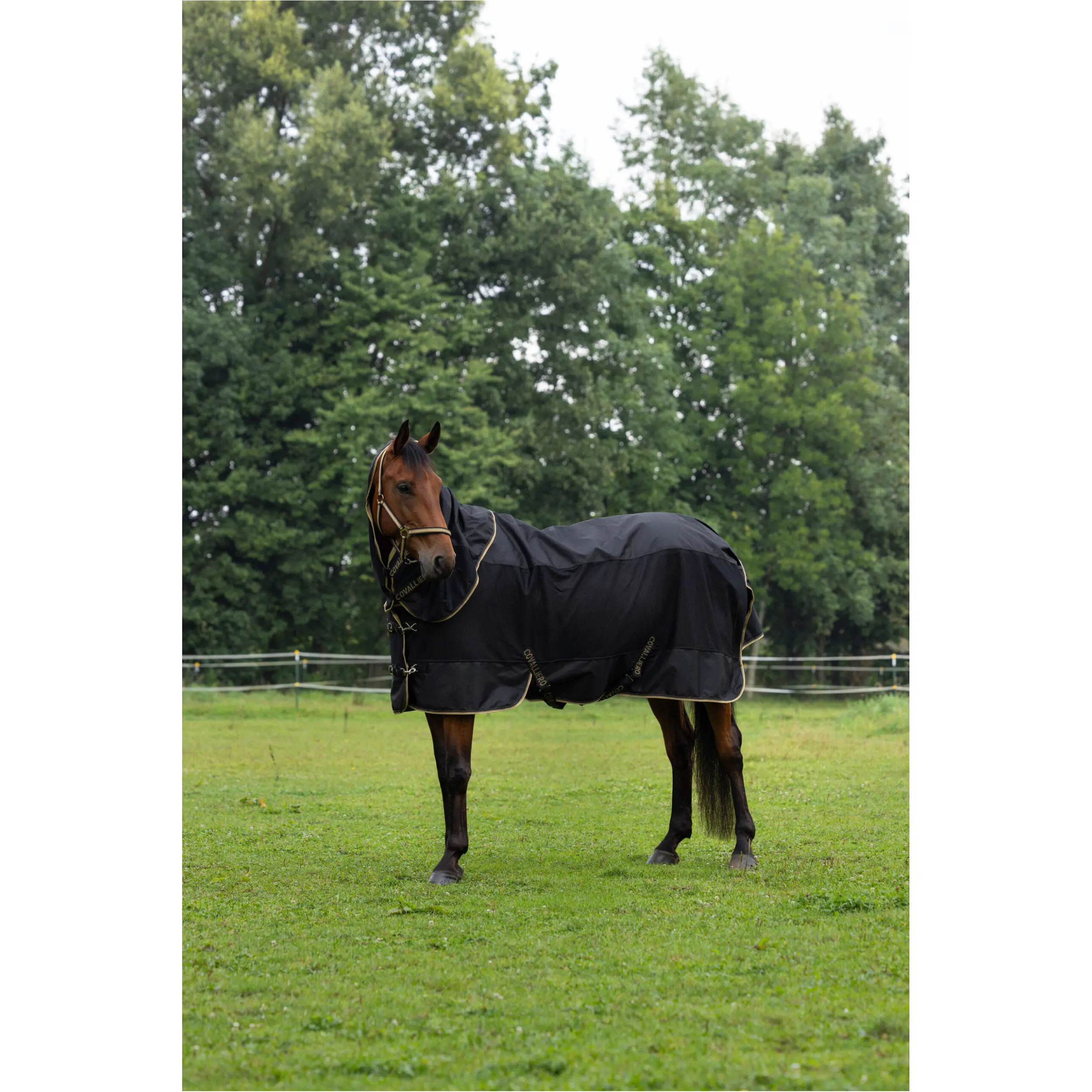Regendecke Halsteil (abnehmbar) F/S 2026 black