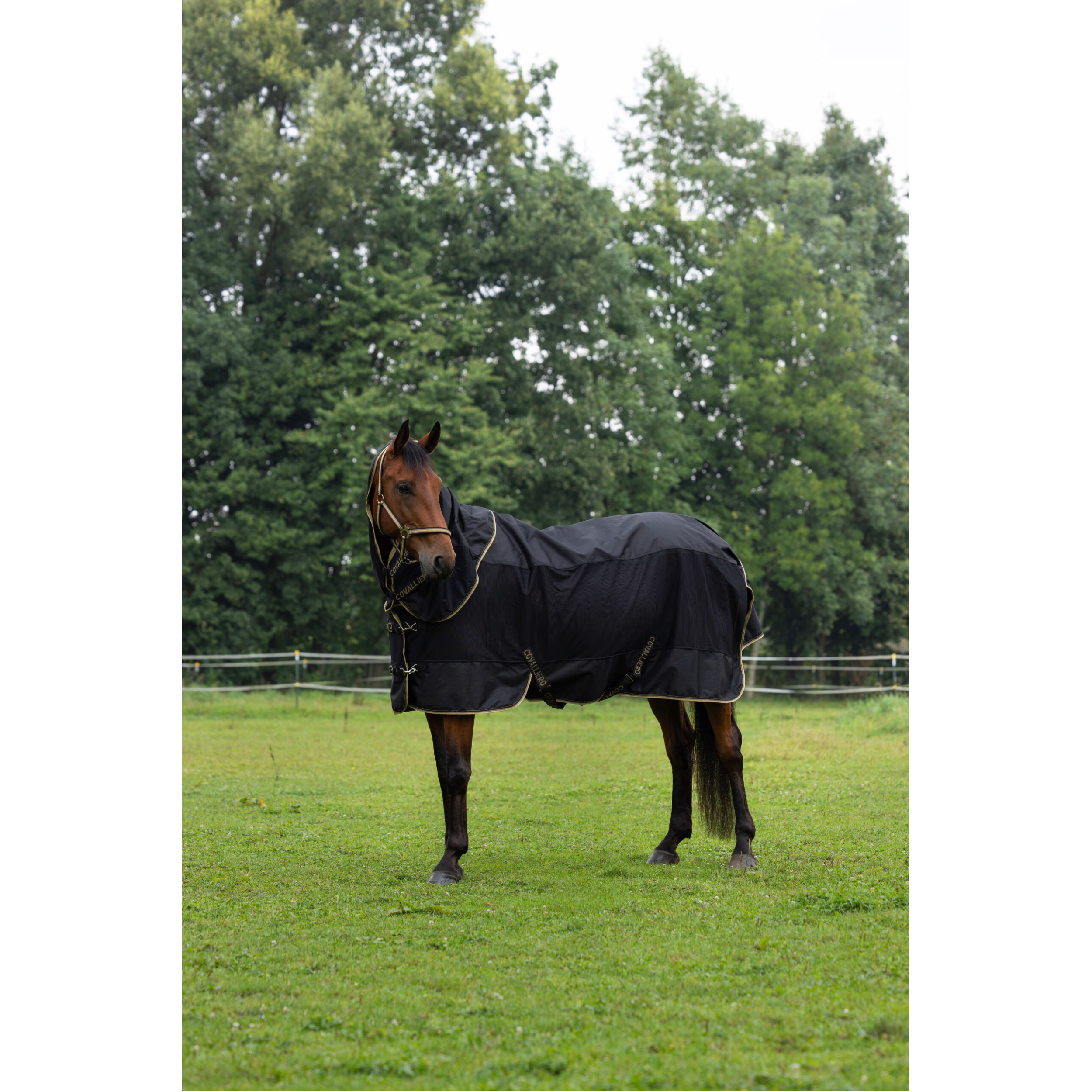 Regendecke Halsteil (abnehmbar) F/S 2026 black Regendecke Halsteil (abnehmbar) F/S 2026 black