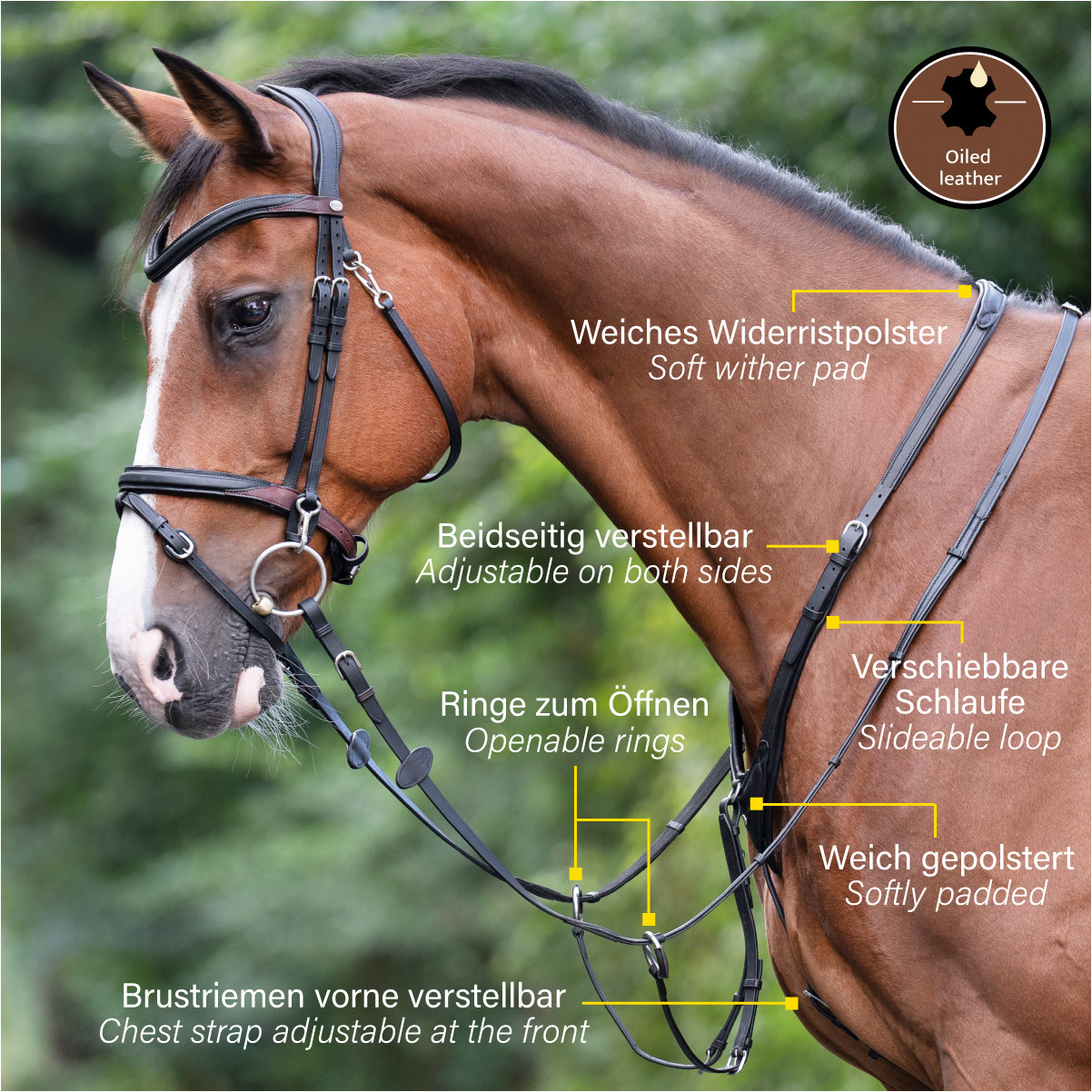 Martingal weich gepolstert AZRIEL schwarz