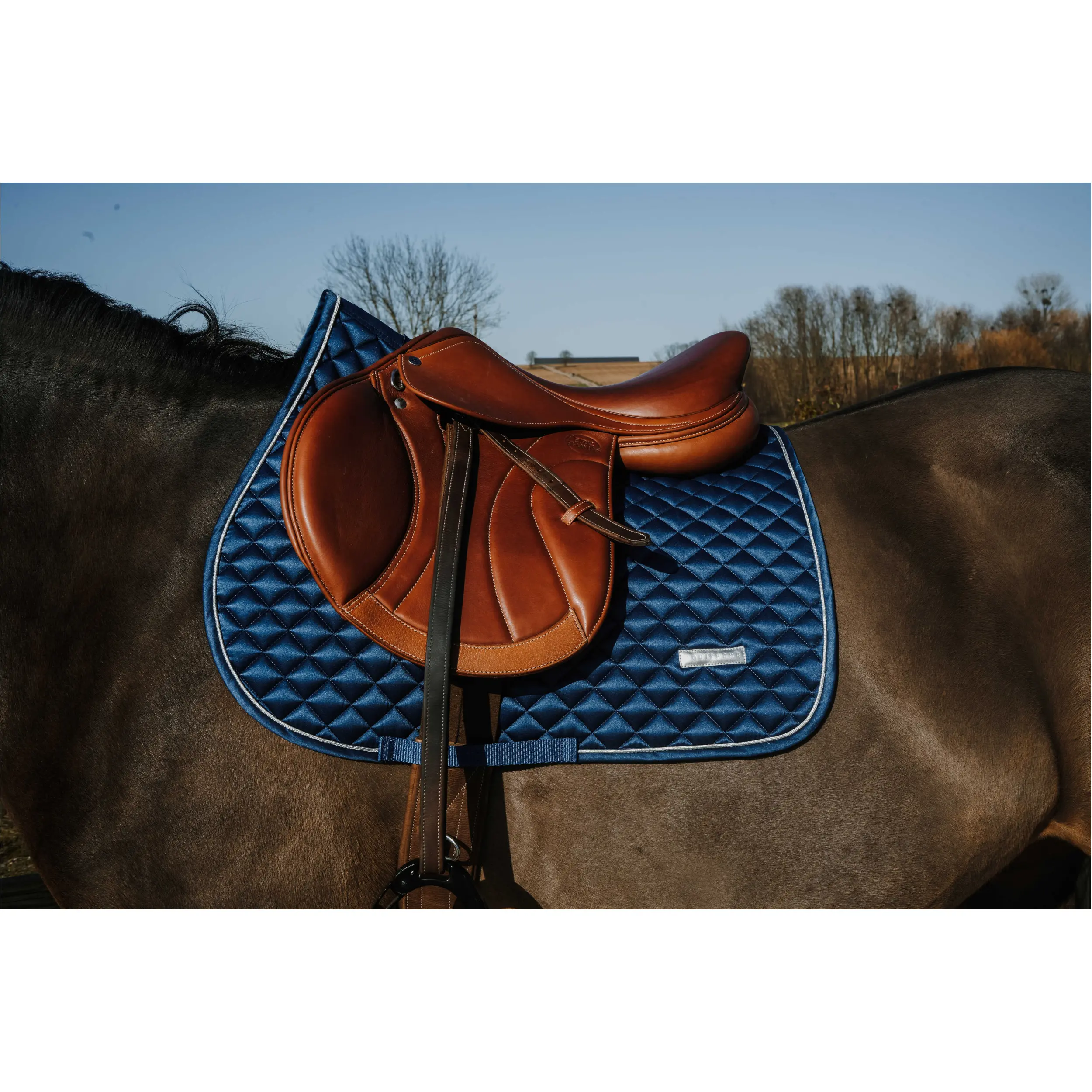 Schabracke NACRE blau Warmblut Vielseitigkeit