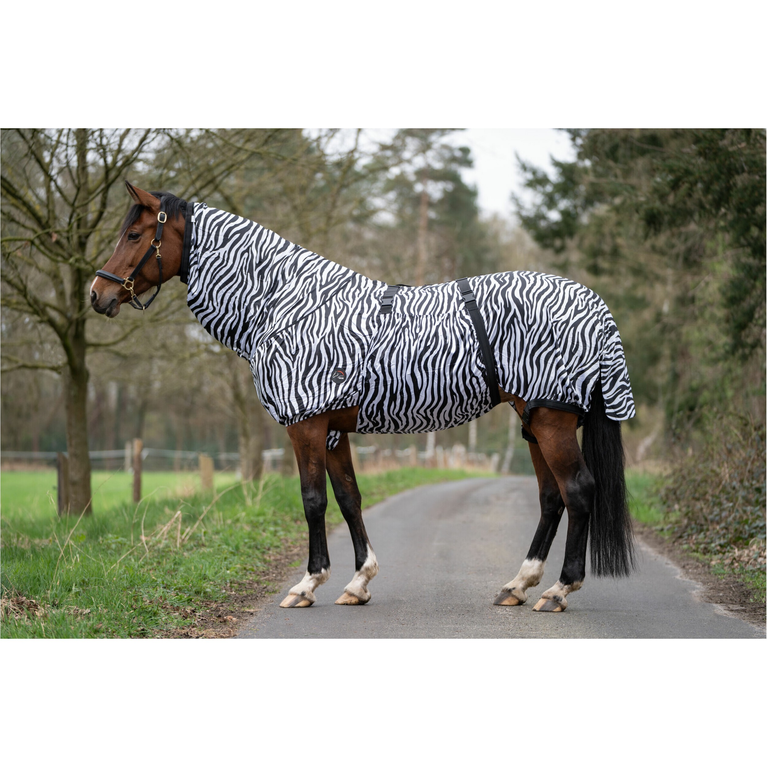 Ekzemerdecke ZEBRA weiß/schwarz