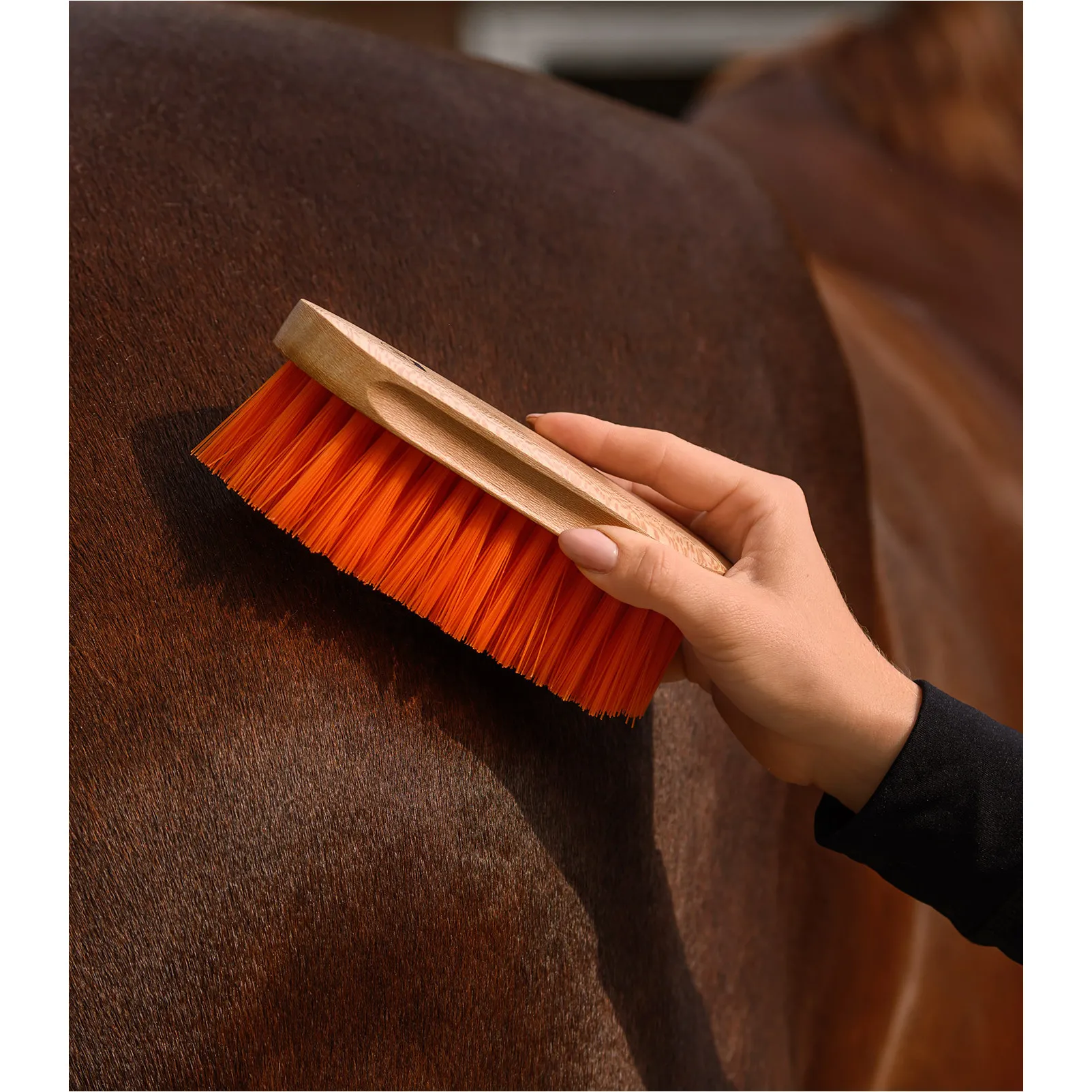 Mähnenbürste COLORCARE orange