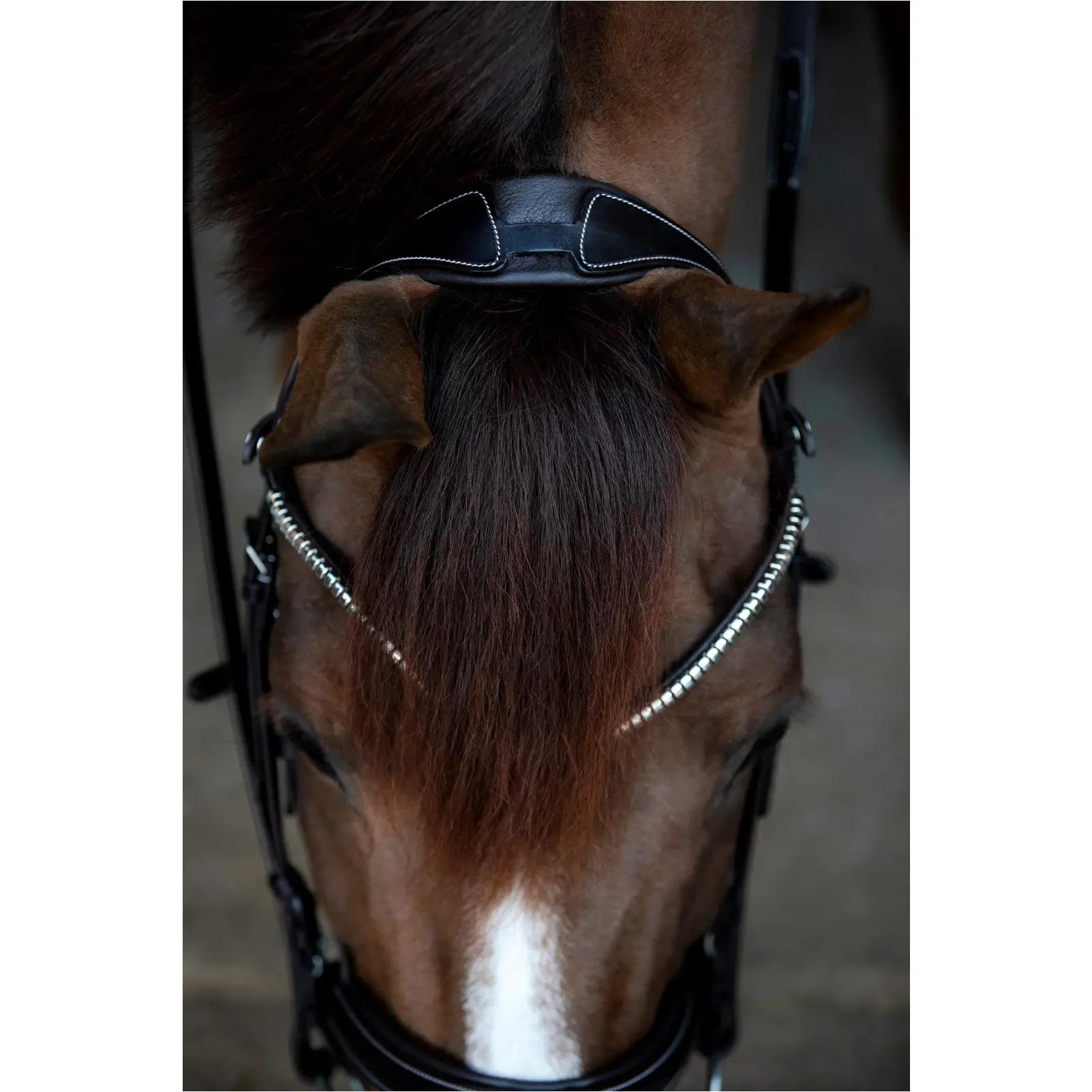 Trensenzaum englisch kombiniert BROOKLYN braun Trensenzaum englisch kombiniert BROOKLYN braun