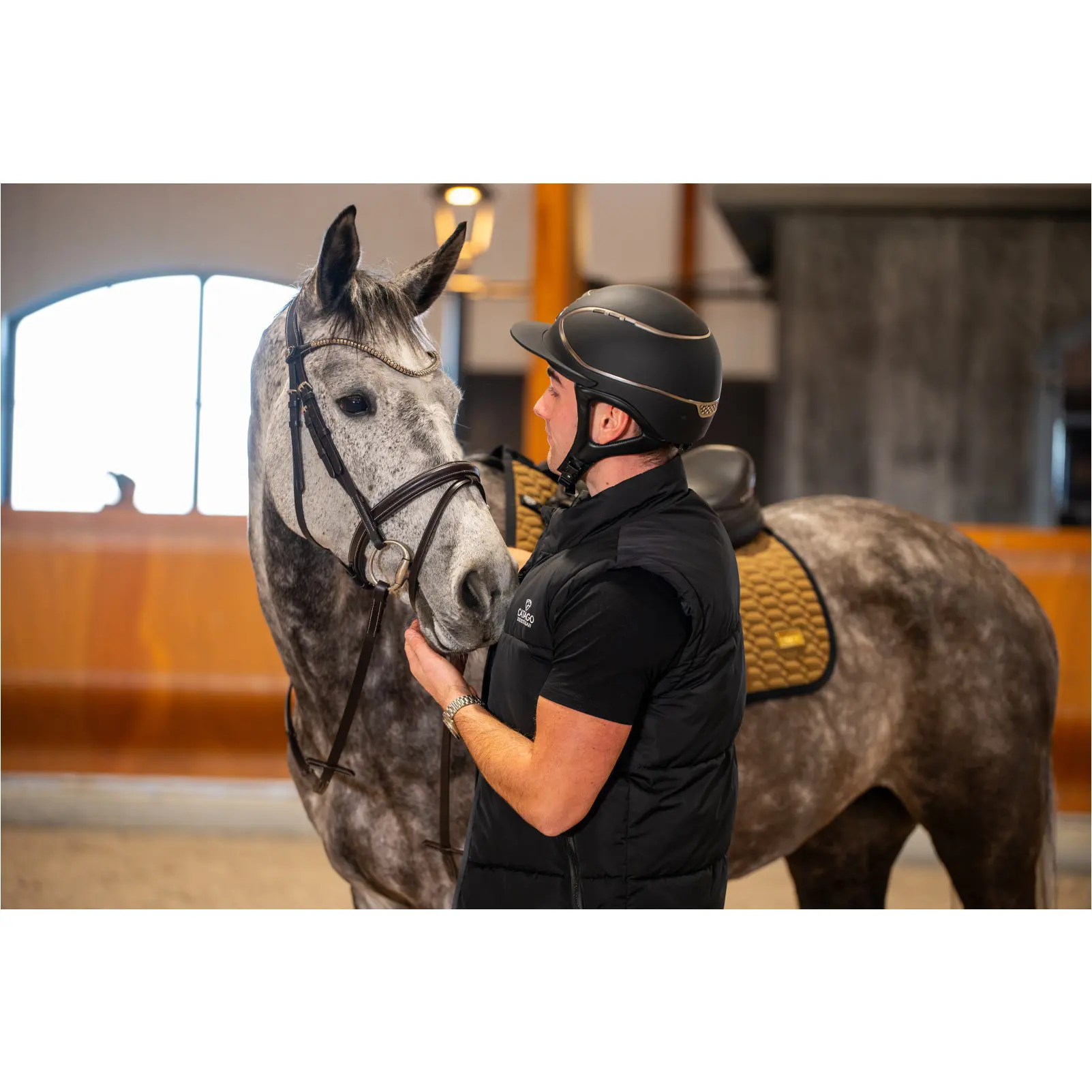 Trensenzaum englisch kombiniert BROOKLYN braun Trensenzaum englisch kombiniert BROOKLYN braun