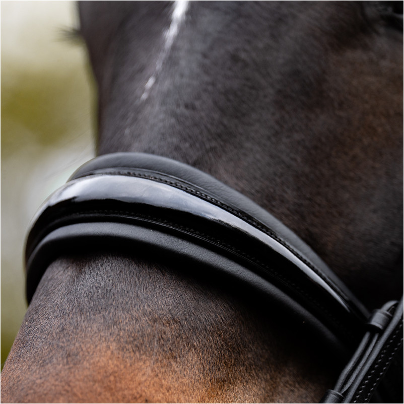 Kandarenzaum mit schwedischen Reithalfter SELINA schwarz