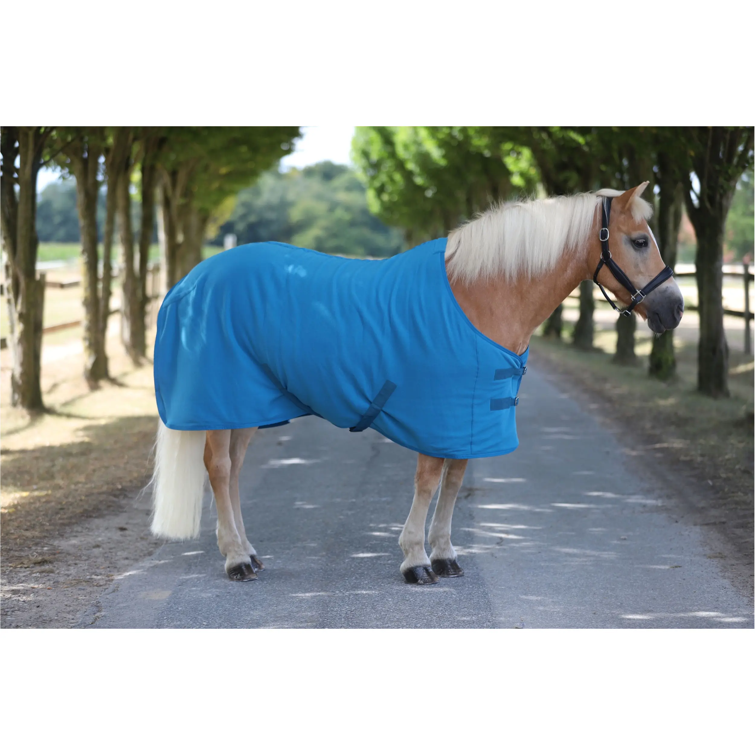 Abschwitzdecke mit Kreuzgurt BASICLINE petrol