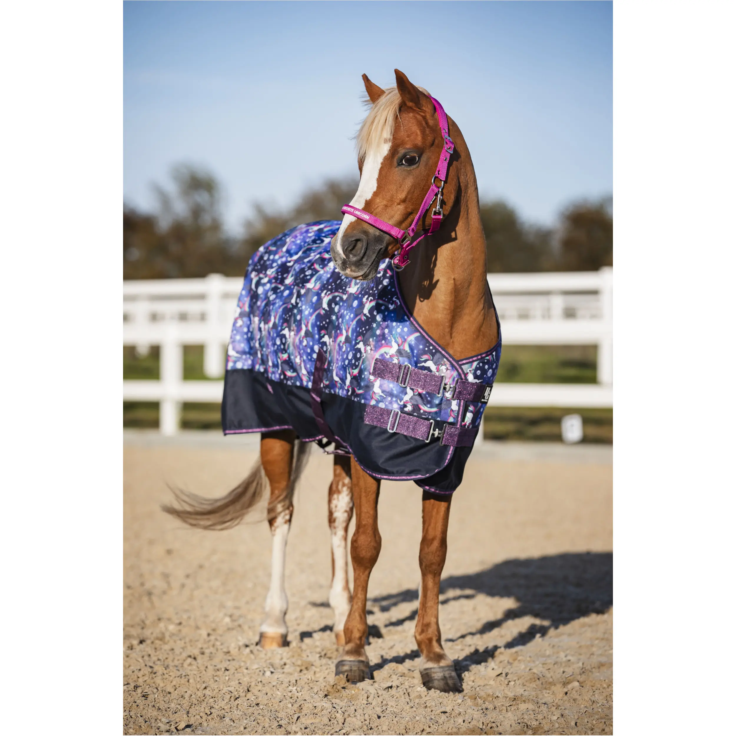 Turnoutdecke 100g Füllung 600D JOSH PONY dutch blue