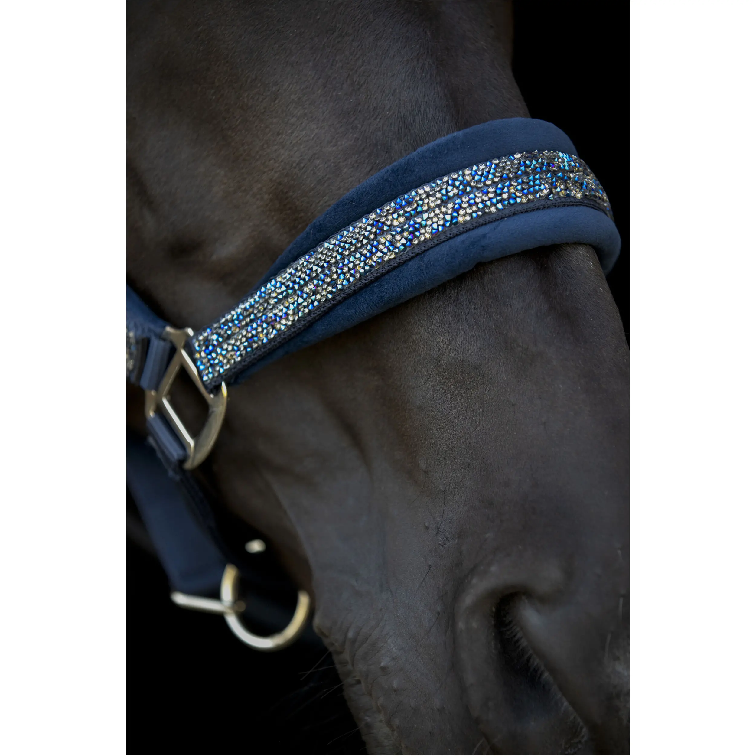 Halfter ANGEL navy