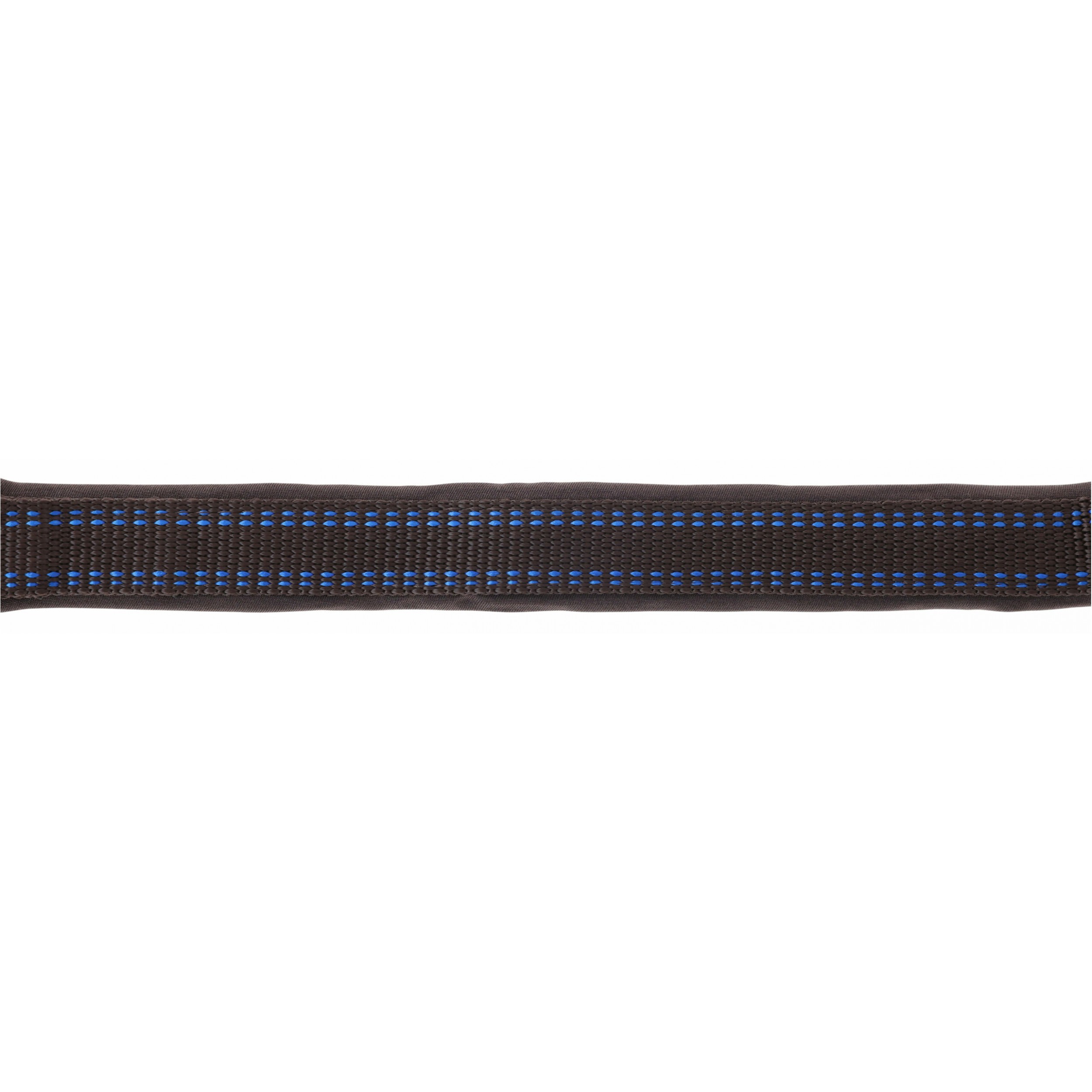 Halfter ROYAL braun/hellblau Halfter ROYAL braun/hellblau
