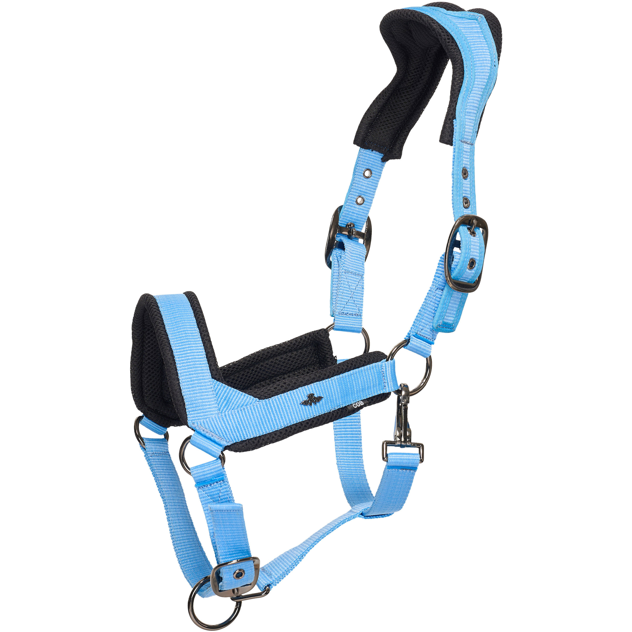 Halfter HVPEsther powder blue