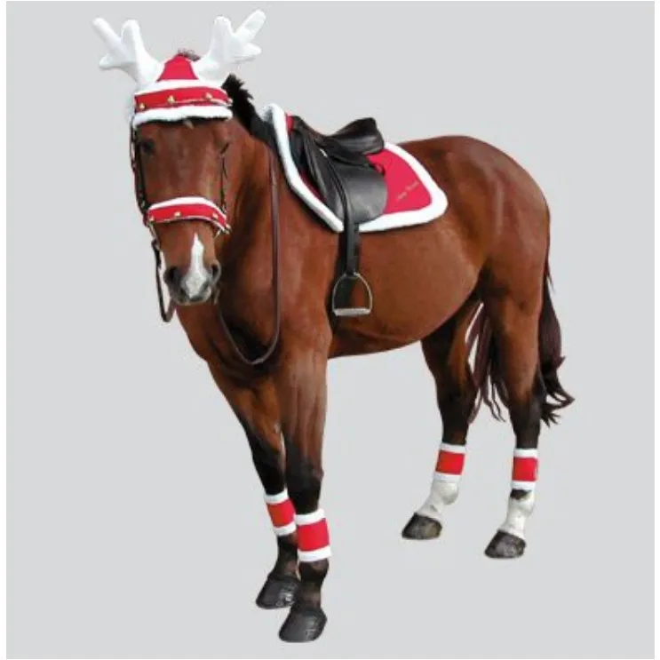 Weihnachtsohrenhaube Rentiergeweih NOËL rot/weiße Bordüre Einheitsgröße