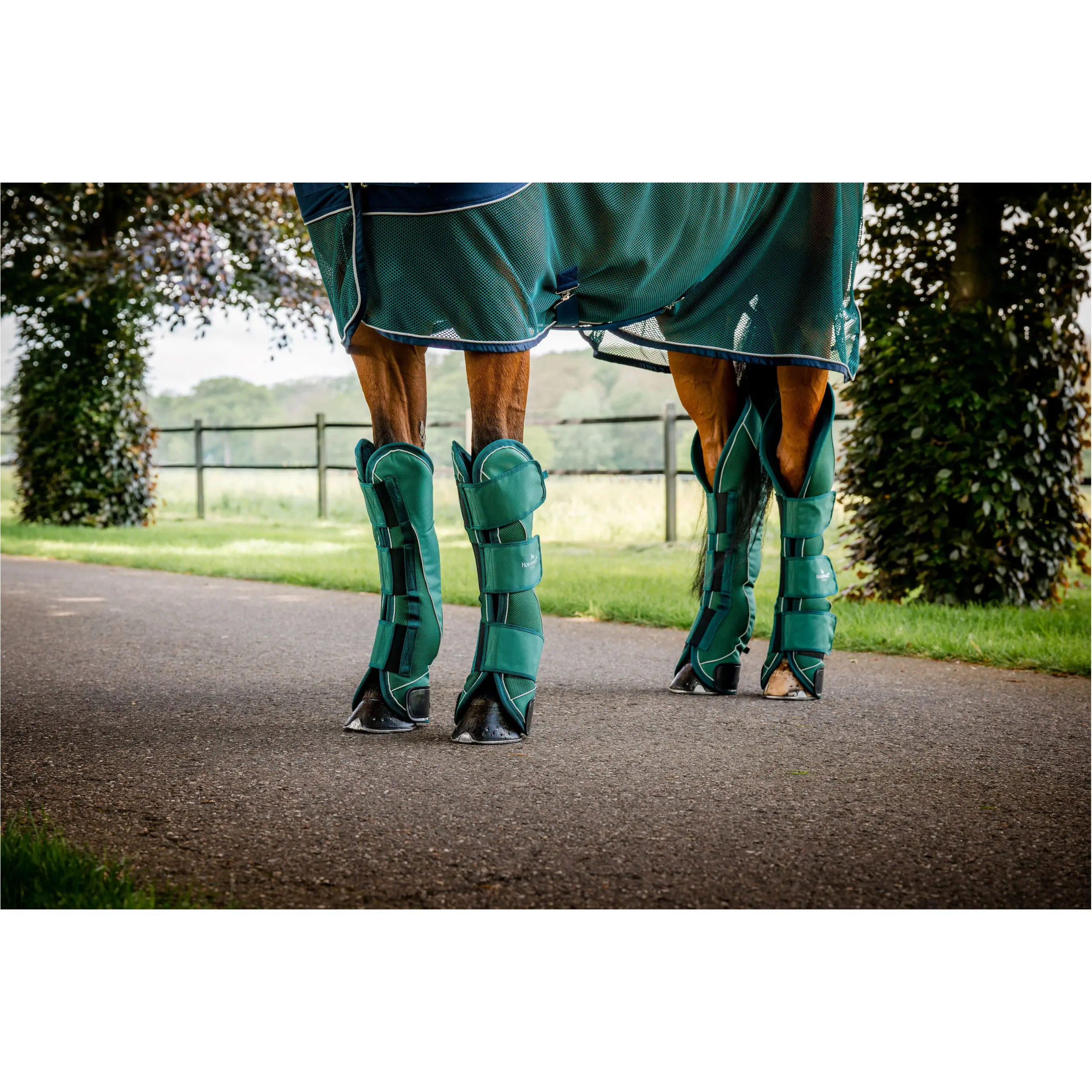 Transportgamaschen SIGNATURE hunter green