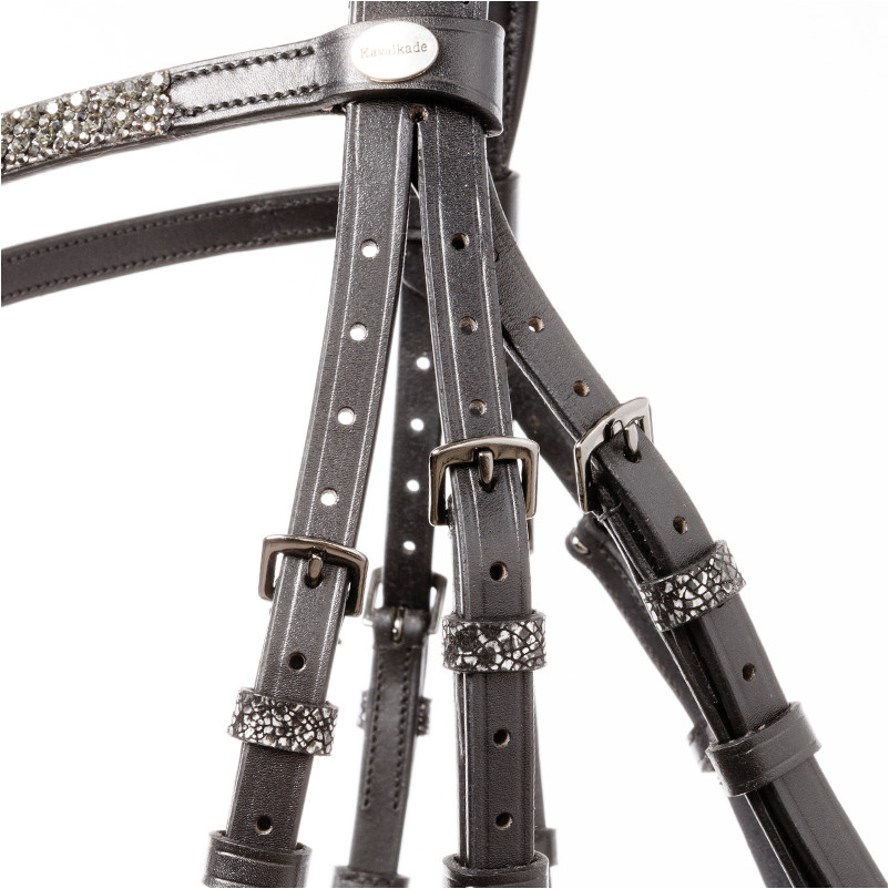 Trensenzaum mit schwedischen Reithalfter VICTORIA schwarz