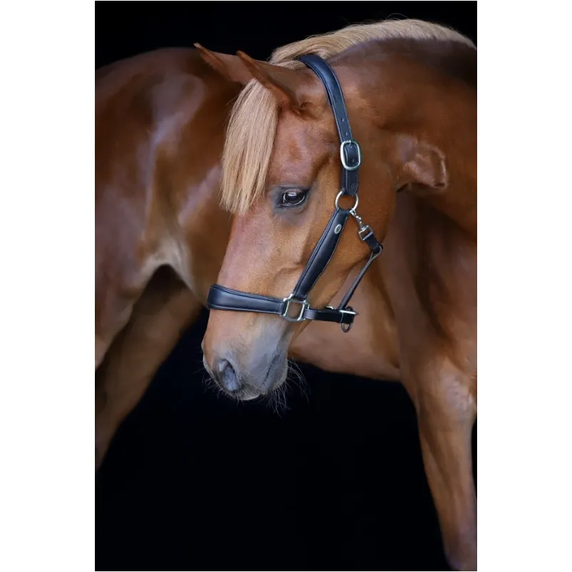 Halfter Soft COMFORT Leder schwarz