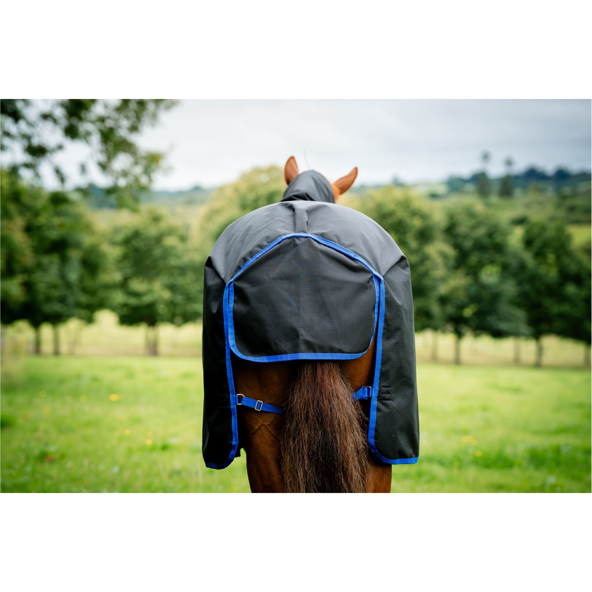 Outdoordecke Halsteil (abnehmbar) 100g Füllung 900D AMIGO Ripstop Plus Turnout black/classic blue Outdoordecke Halsteil (abnehmbar) 100g Füllung 900D AMIGO Ripstop Plus Turnout black/classic blue