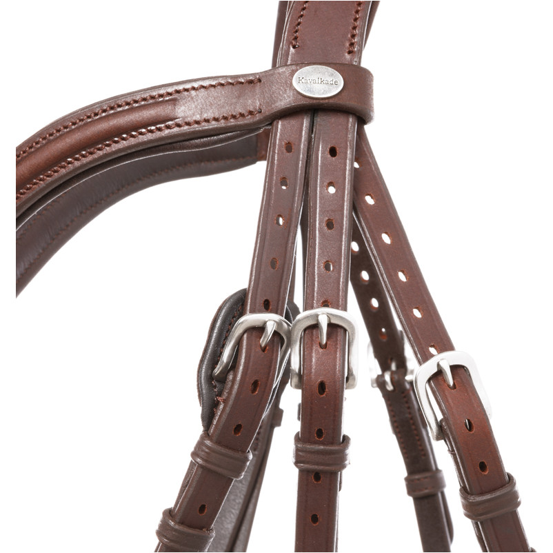 Trensenzaum hannoveranisch EVERANA Leder geölt braun