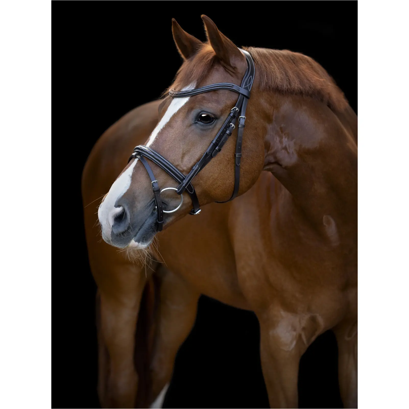 Trensenzaum englisch kombiniert TORINA braun