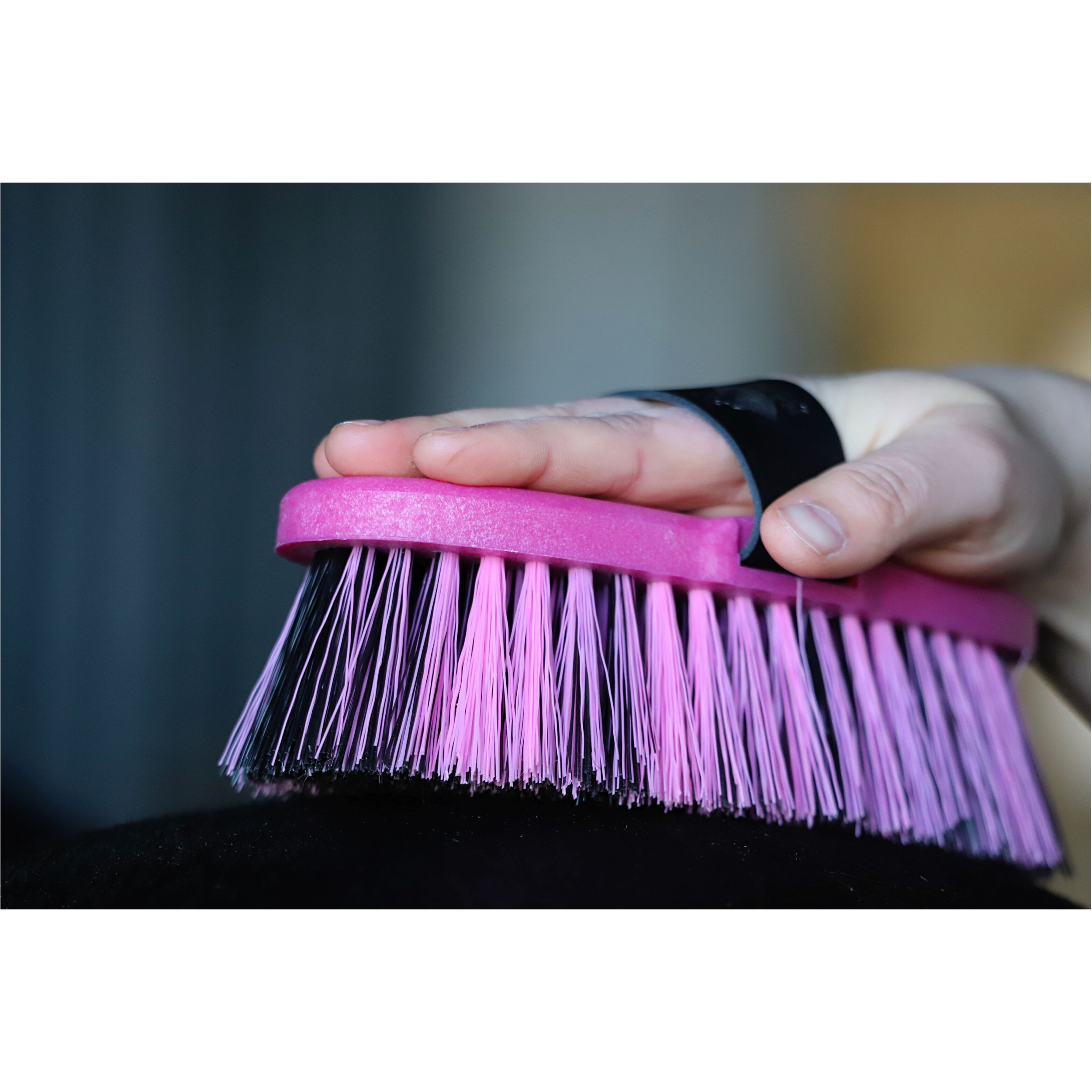 Kardätsche BRENIG MADOC fuchsia