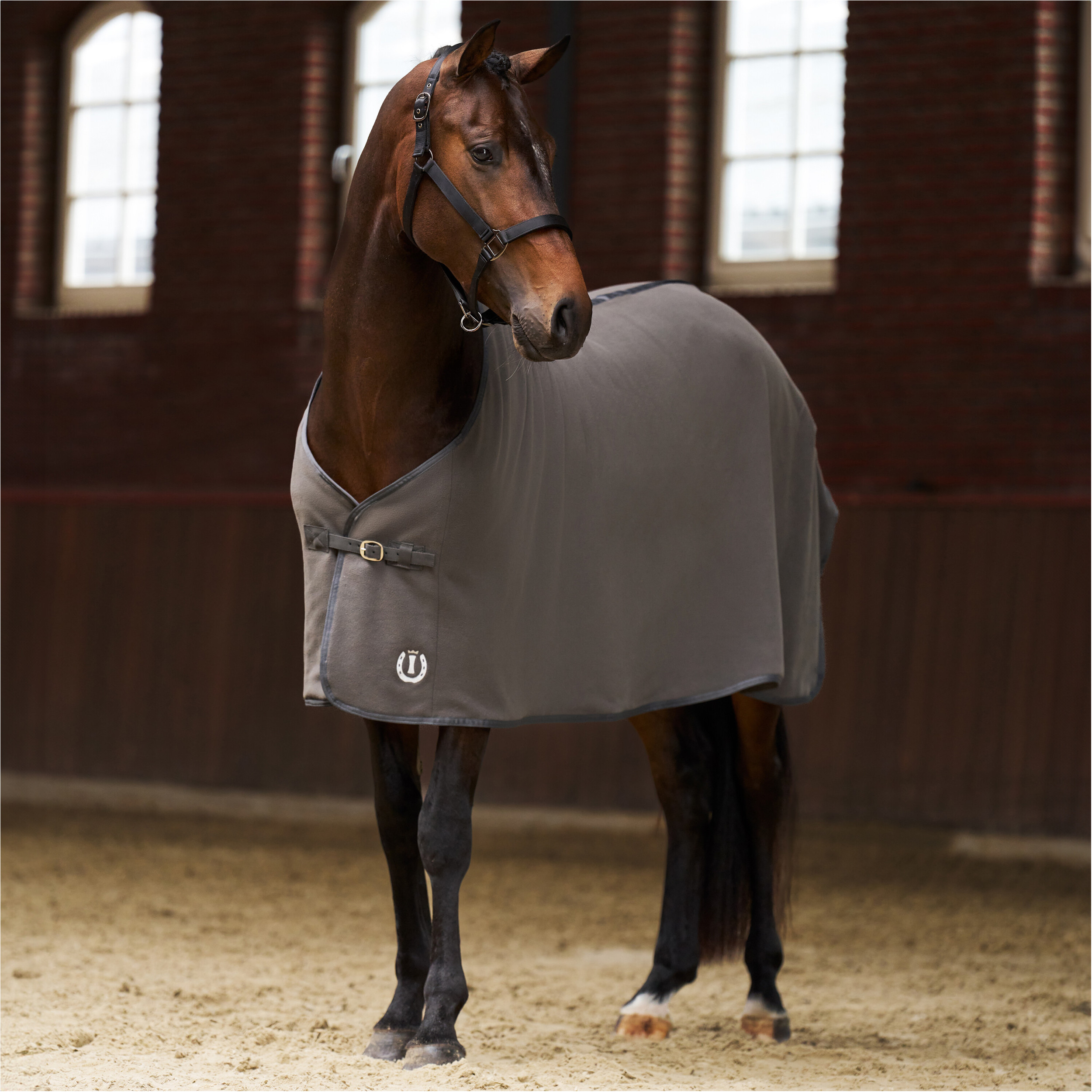 Fleecedecke IRHFundamental BASIC grau Fleecedecke IRHFundamental BASIC grau