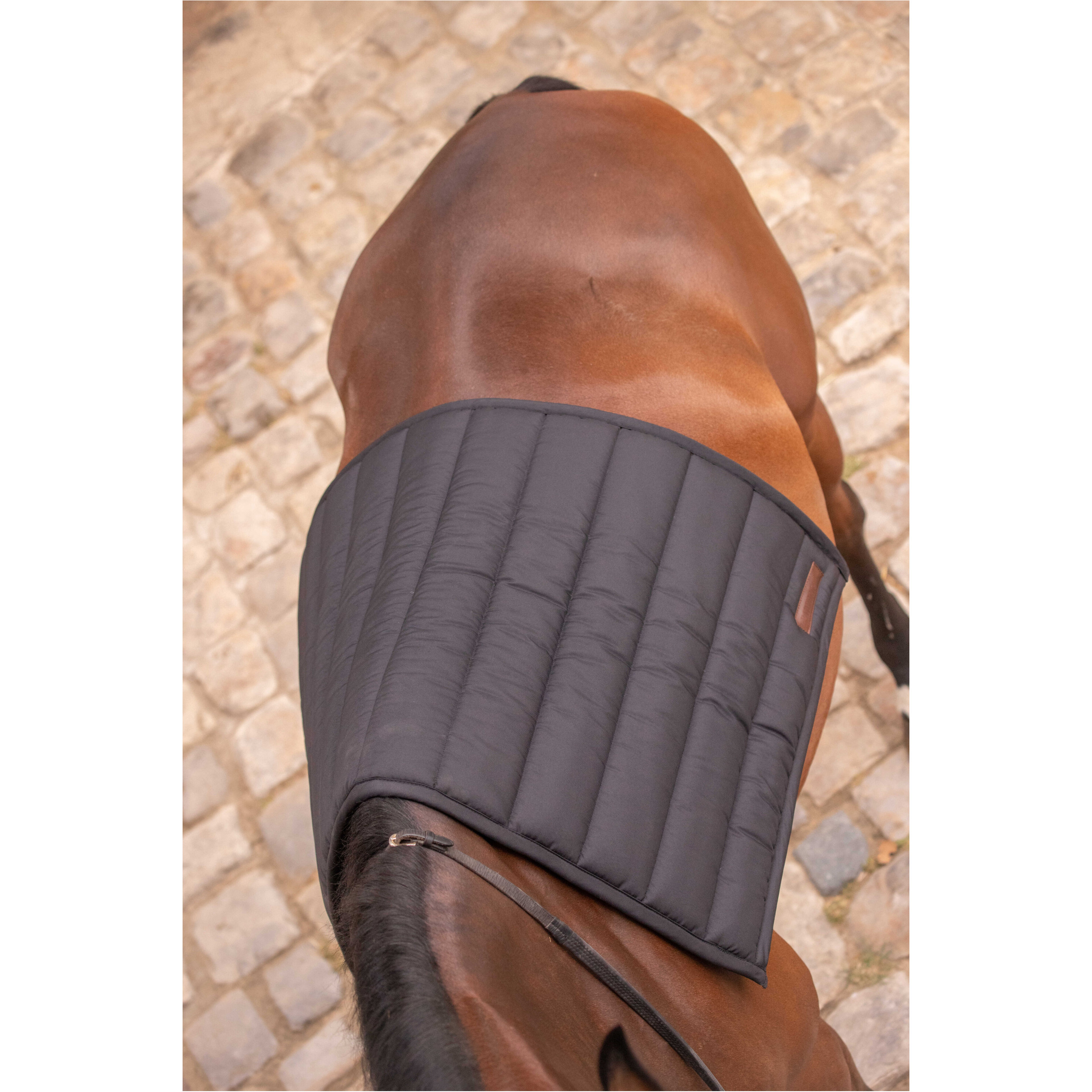 Schabracke BIG PAD schwarz Warmblut